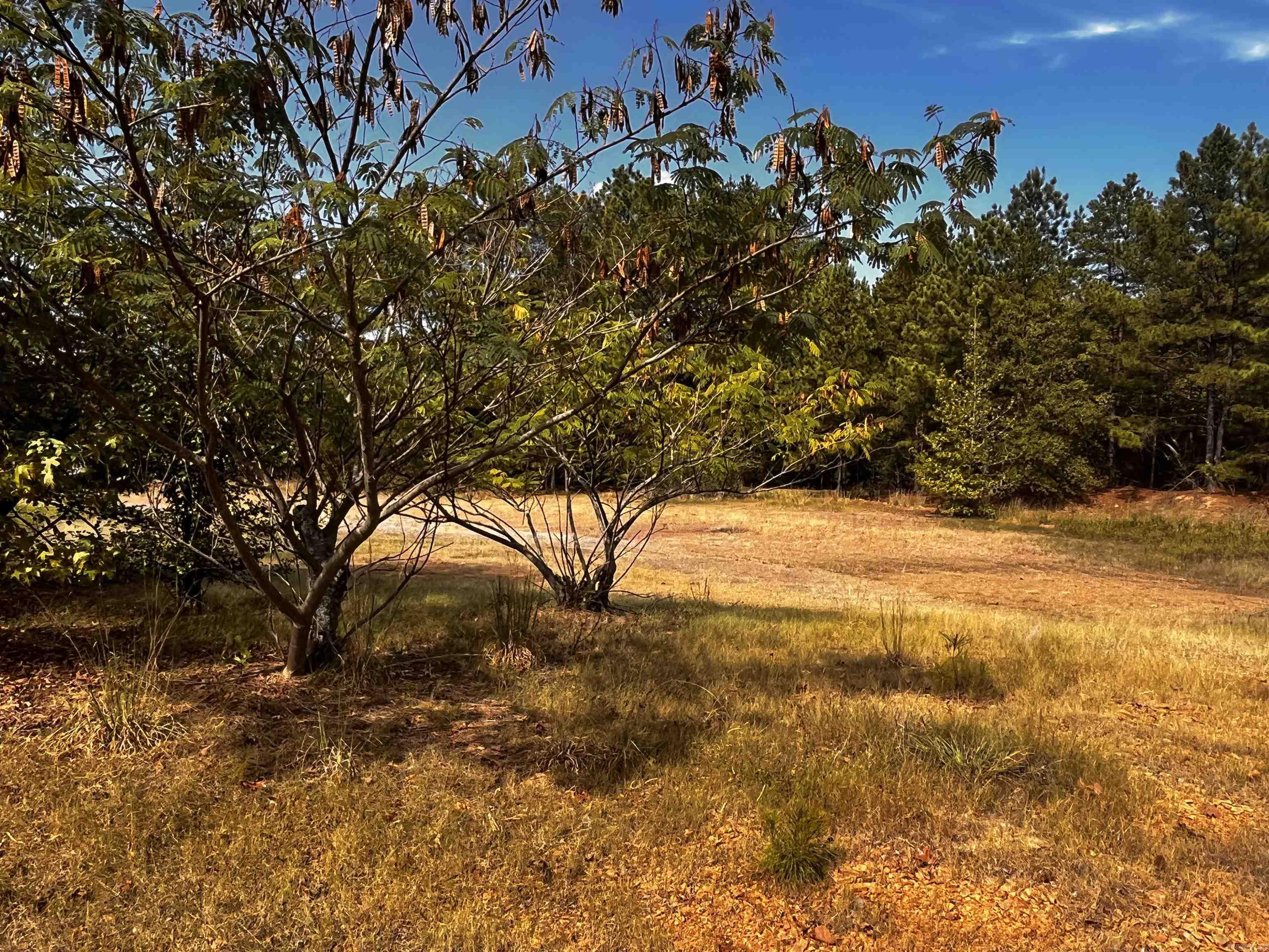 11810 Mac Arthur Dr Property Photo 25