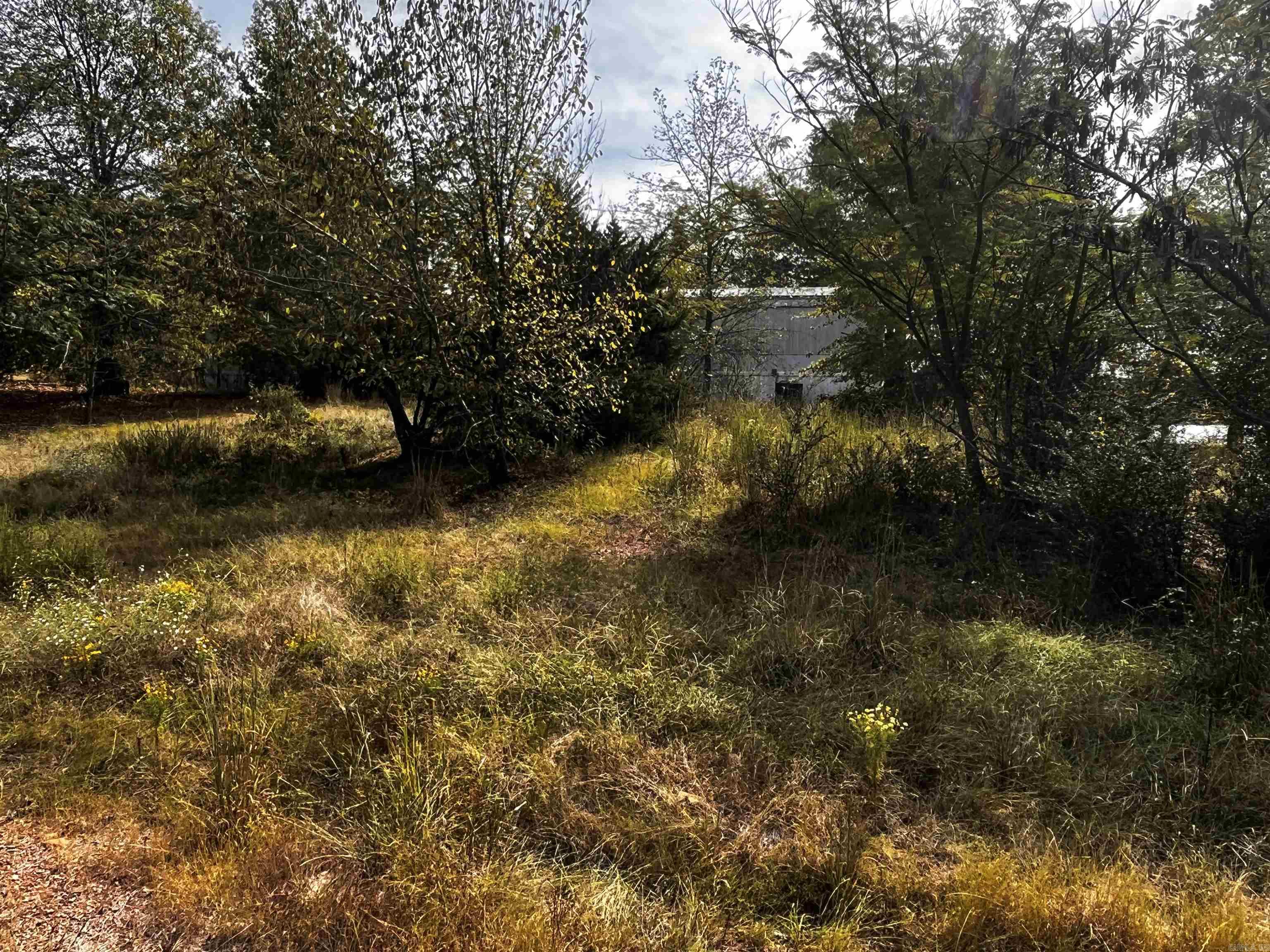 11810 Mac Arthur Dr Property Photo 26
