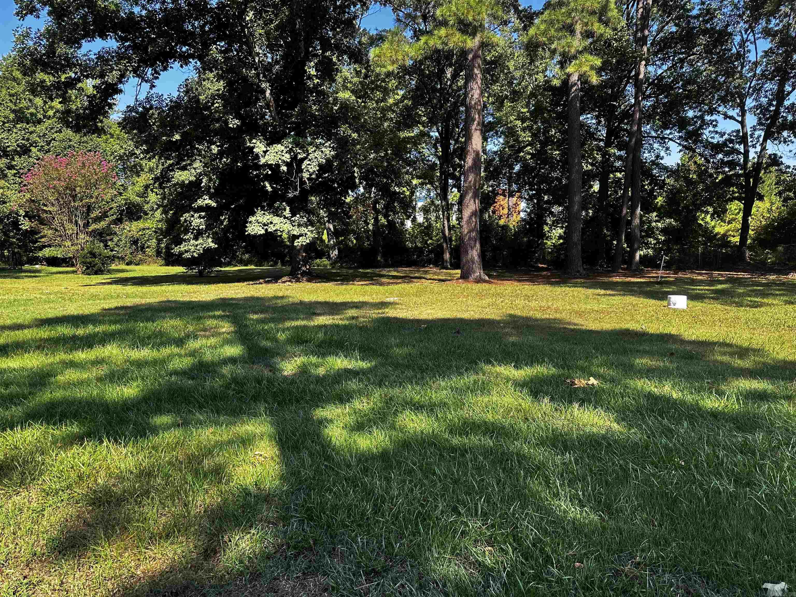 1049 Elenore(alcoa Rd) Road Property Photo 3