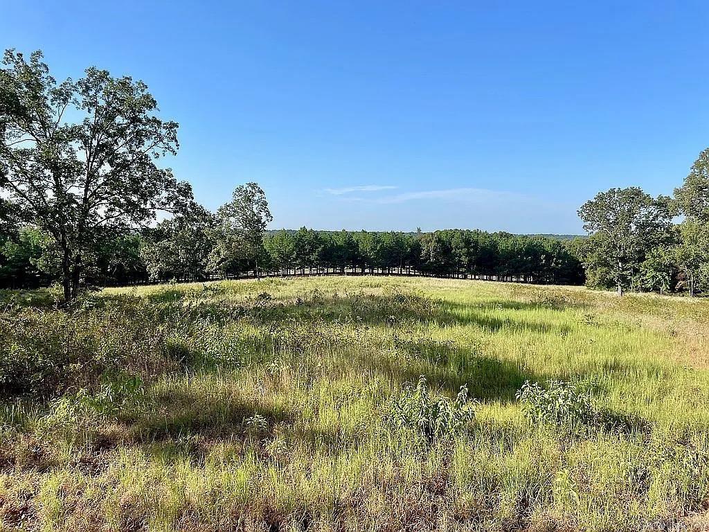 415 Jackson Road S Property Photo 42