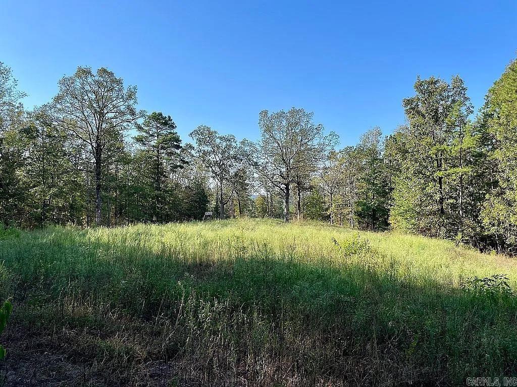 415 Jackson Road S Property Photo 45