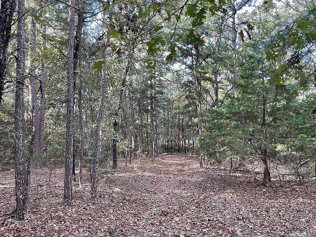415 Jackson Road S Property Photo 46