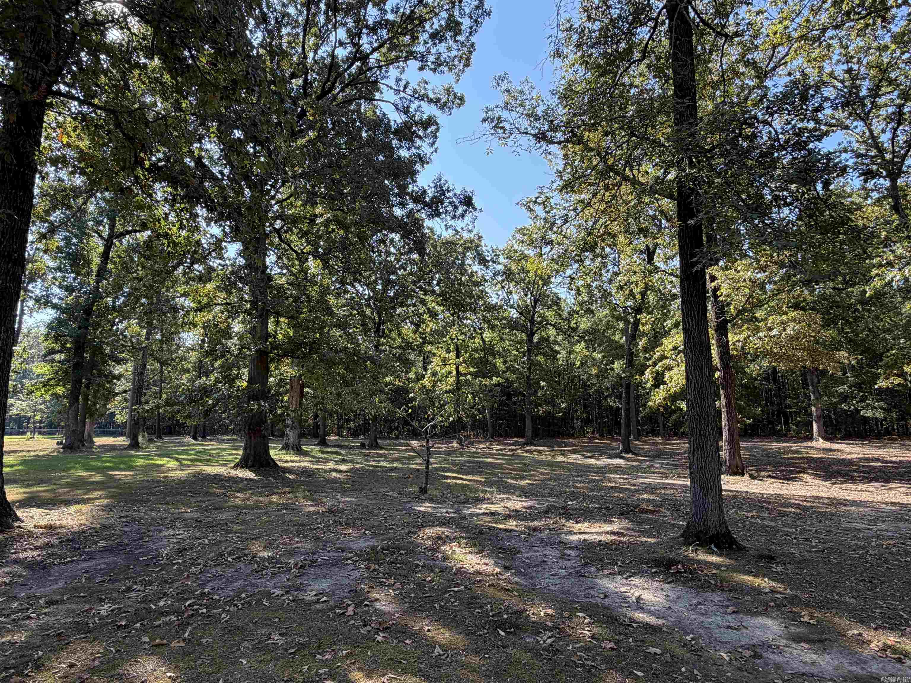 550 Pinewood Property Photo 17