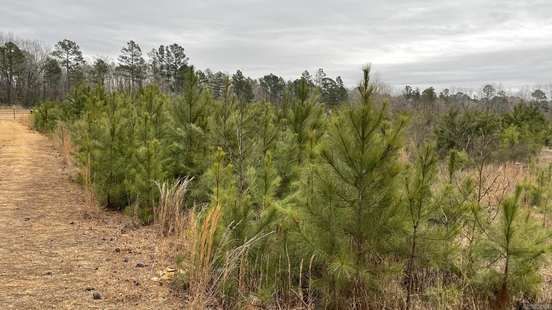4684-4866 Ar-291 Property Photo 2