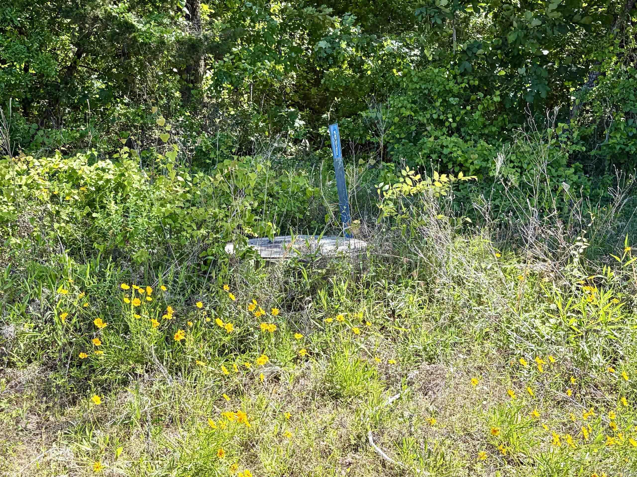 001 Burkett Flat Road Property Photo 7