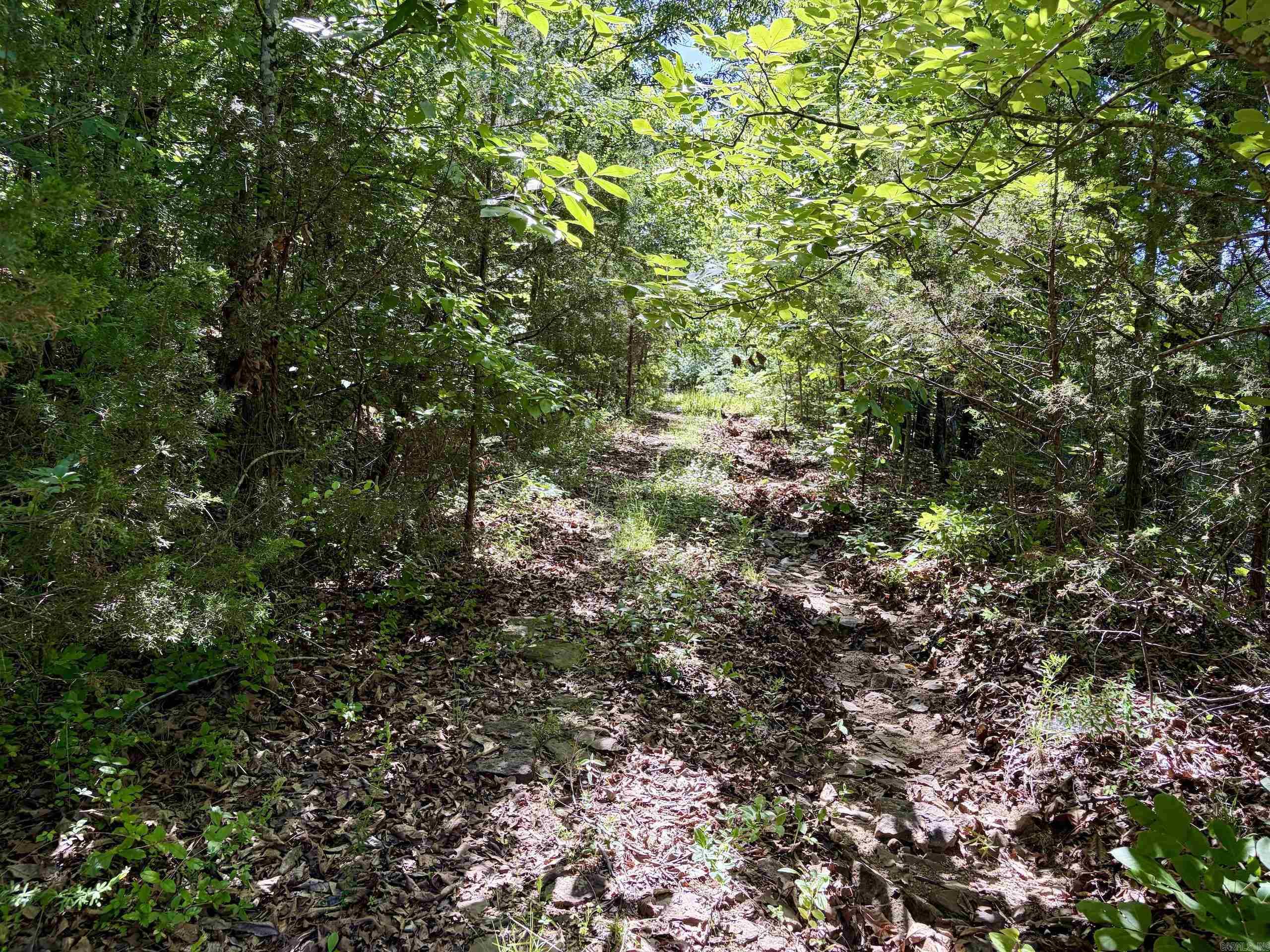 001 Burkett Flat Road Property Photo 14