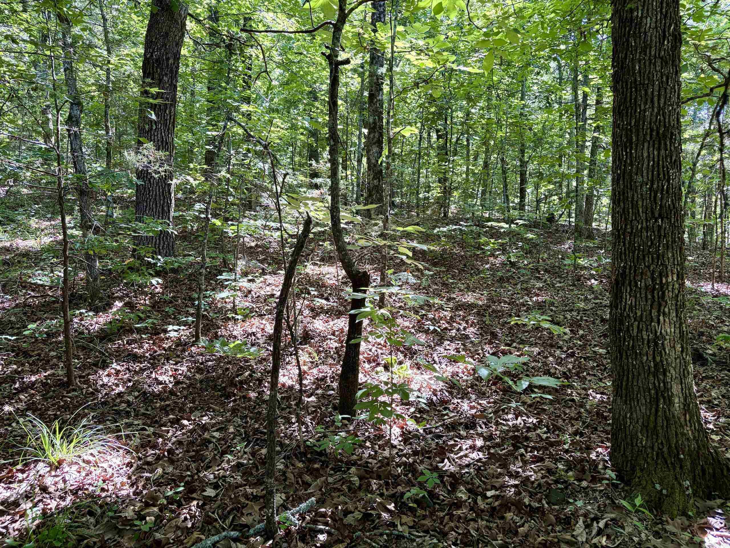 001 Burkett Flat Road Property Photo 15