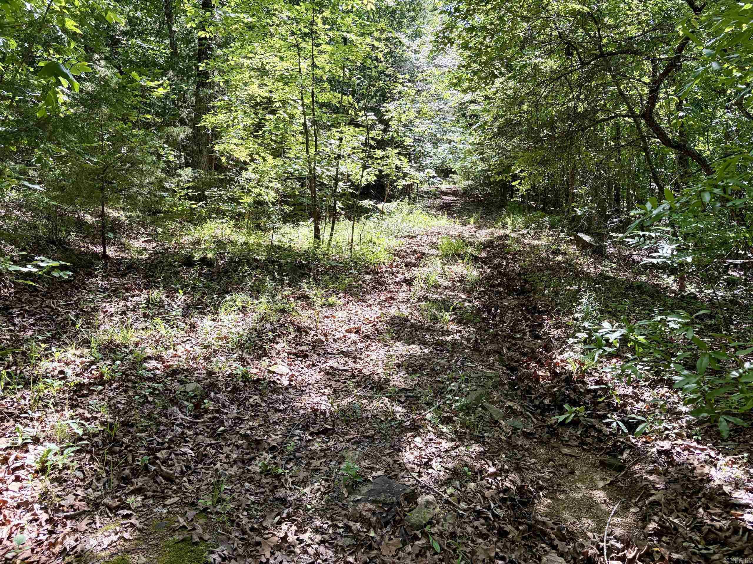 001 Burkett Flat Road Property Photo 16