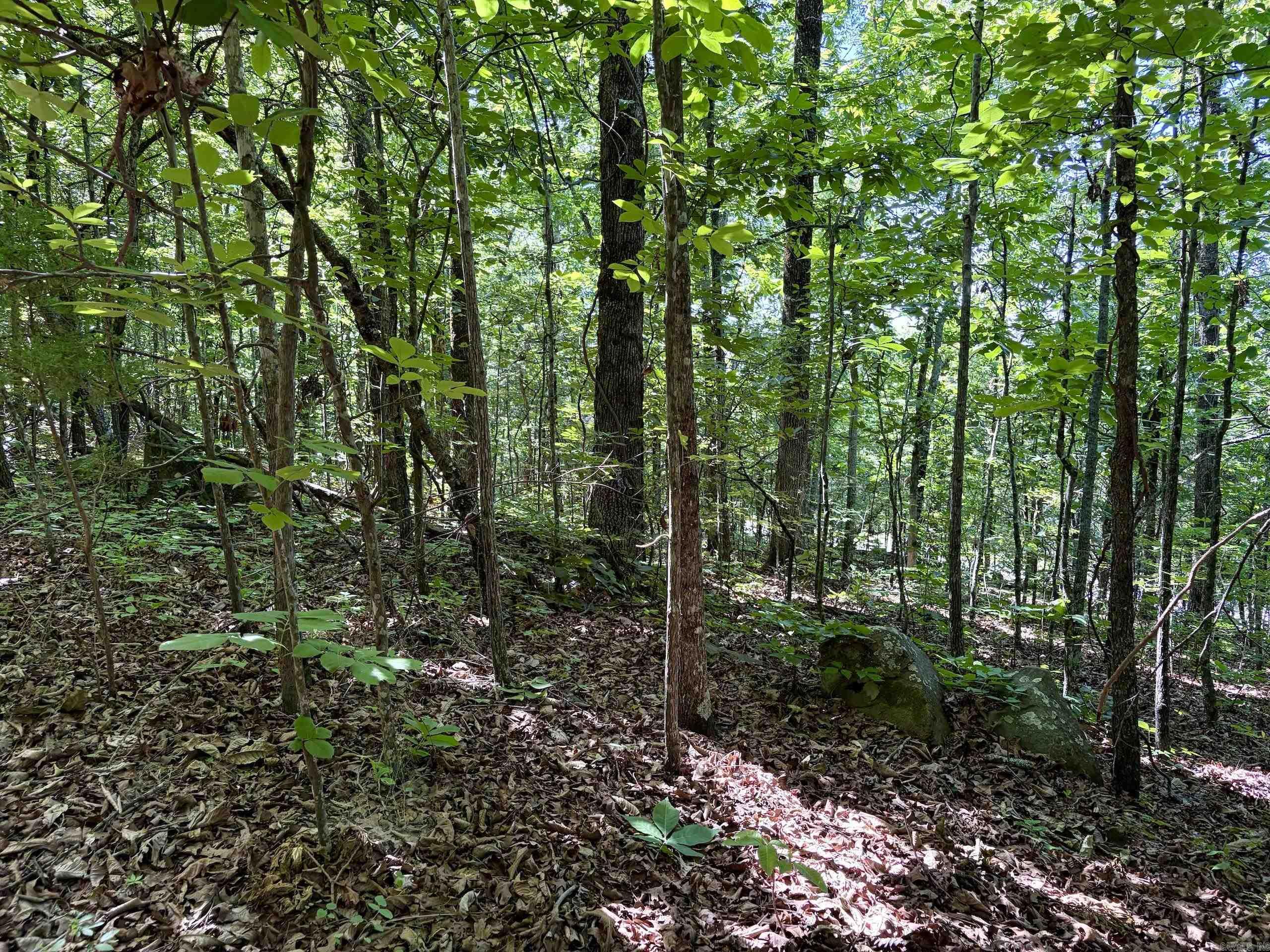 001 Burkett Flat Road Property Photo 17