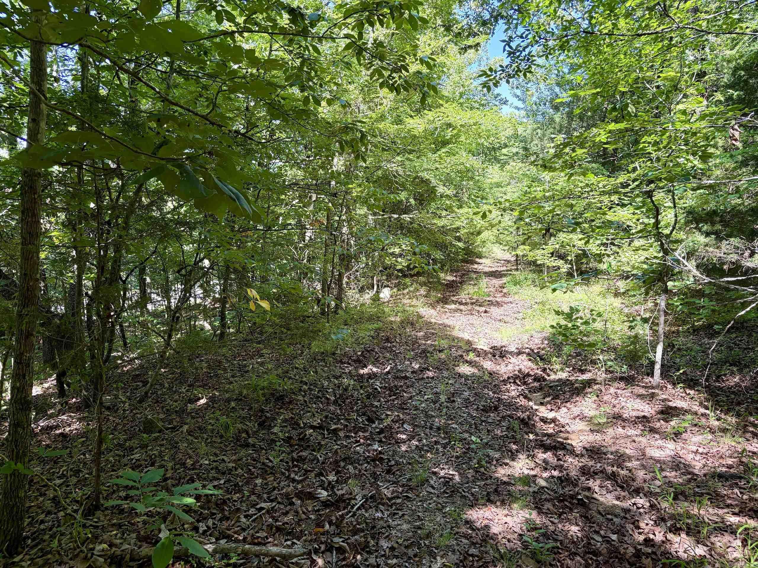 001 Burkett Flat Road Property Photo 18