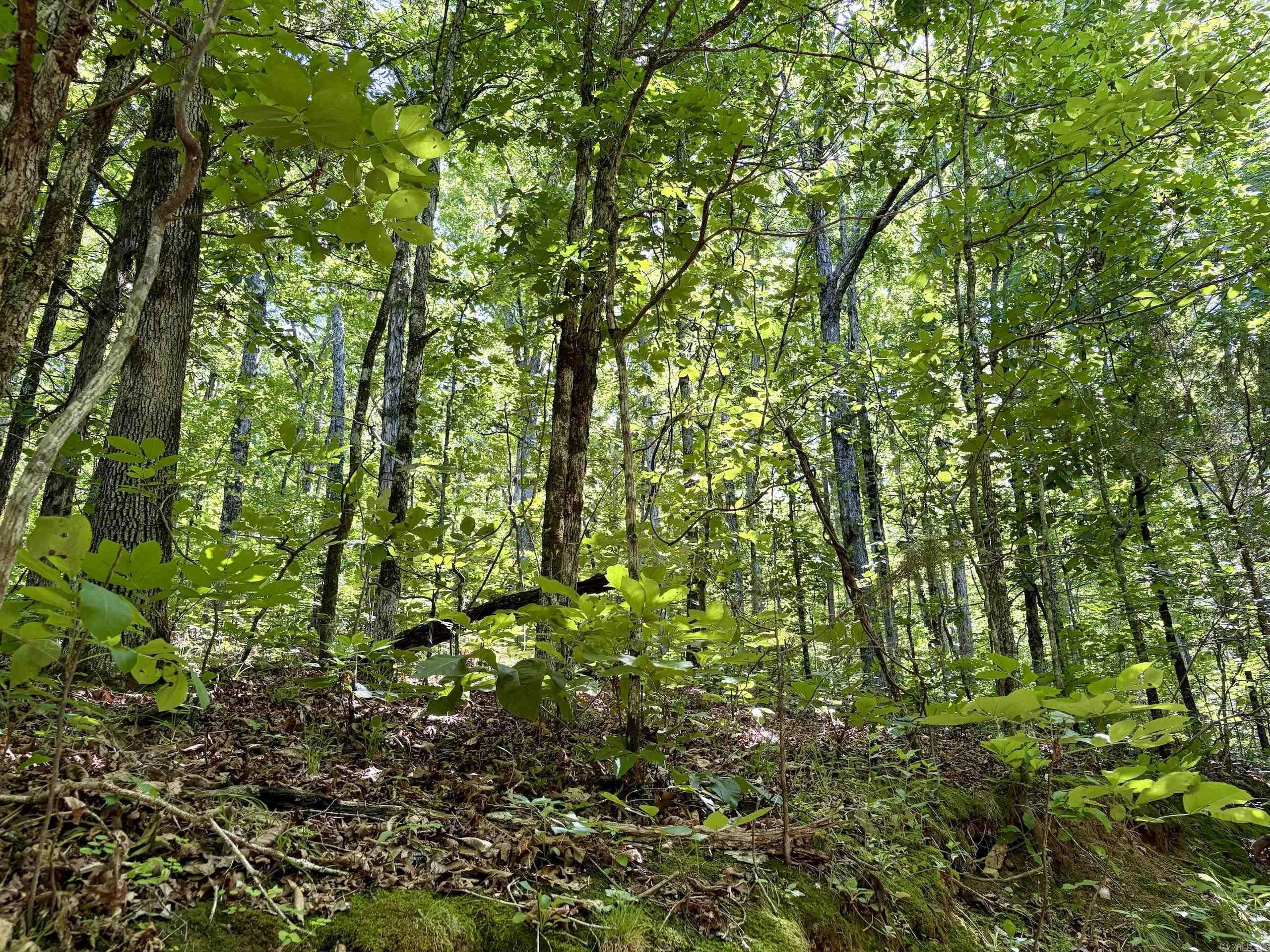 001 Burkett Flat Road Property Photo 19