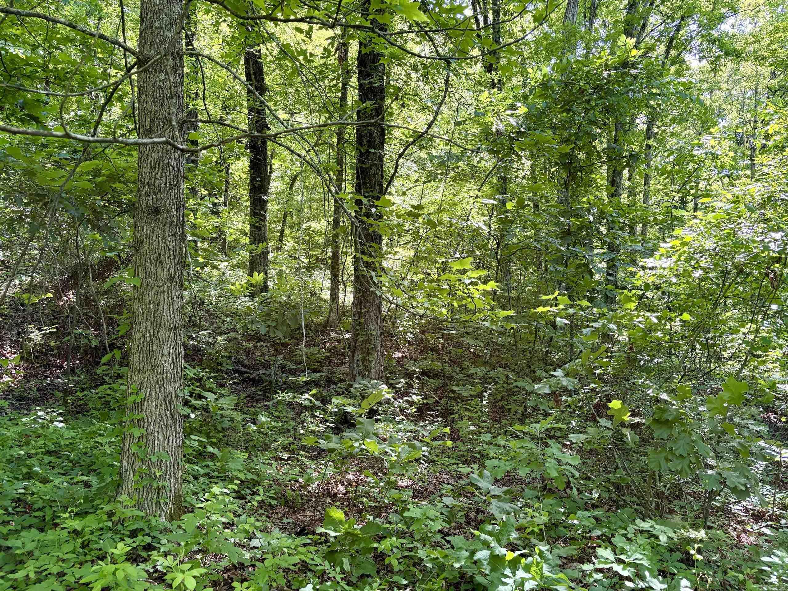 001 Burkett Flat Road Property Photo 21