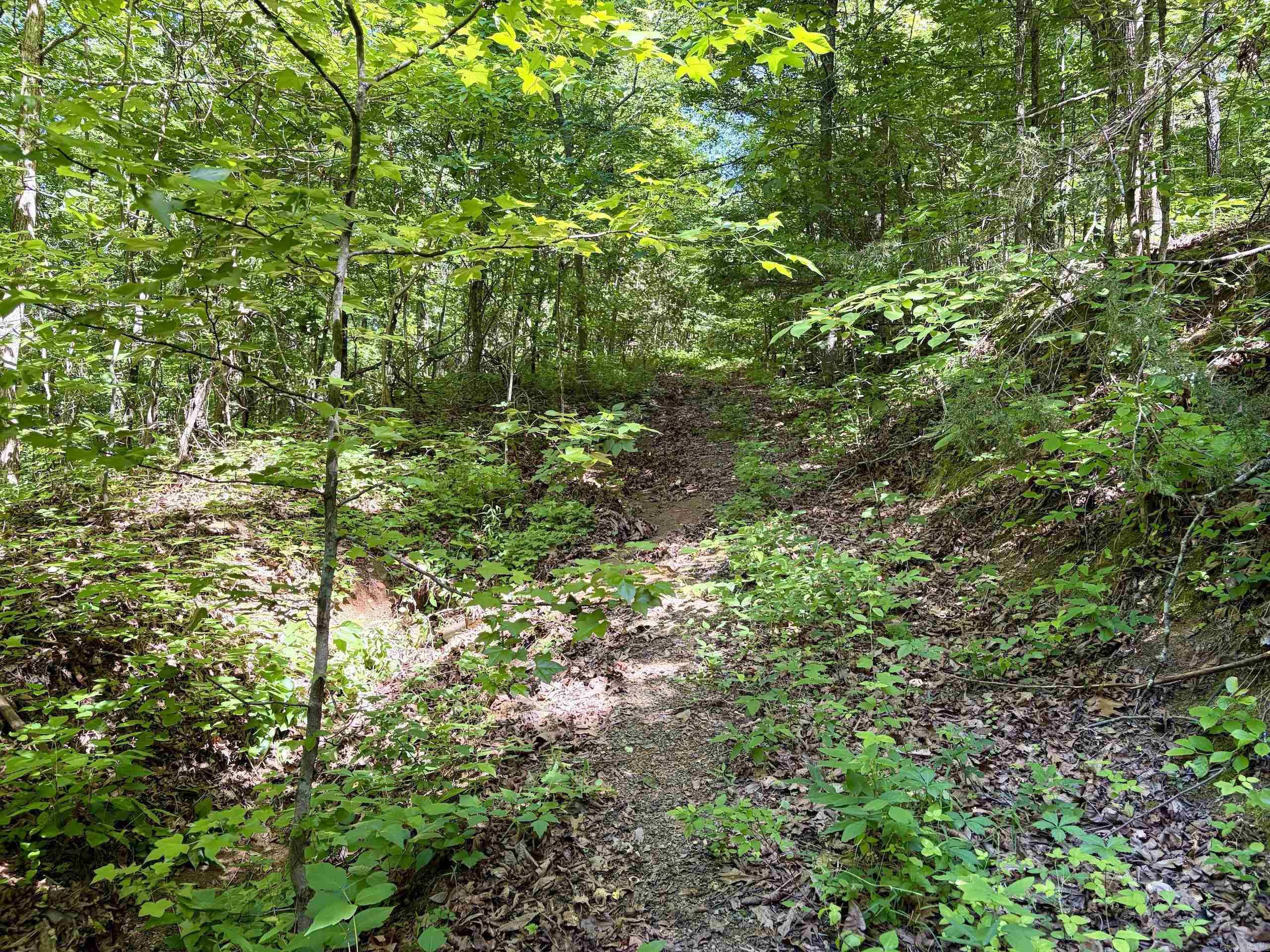 001 Burkett Flat Road Property Photo 22