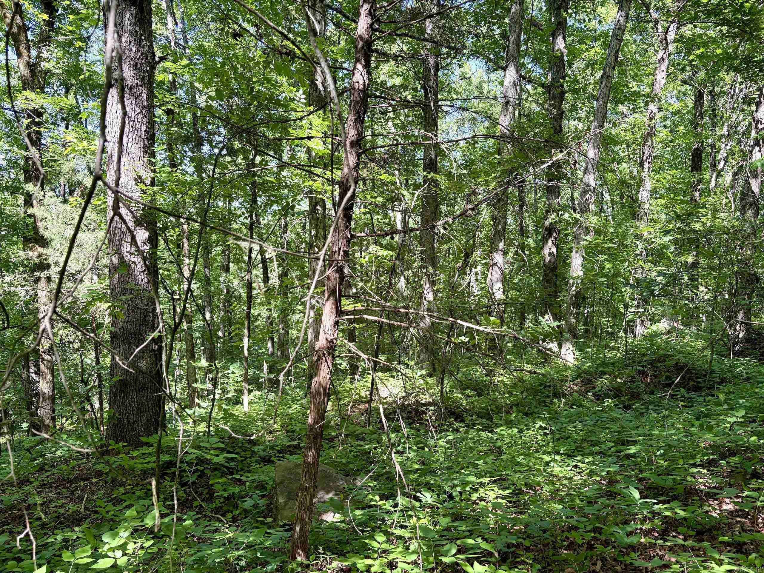 001 Burkett Flat Road Property Photo 23
