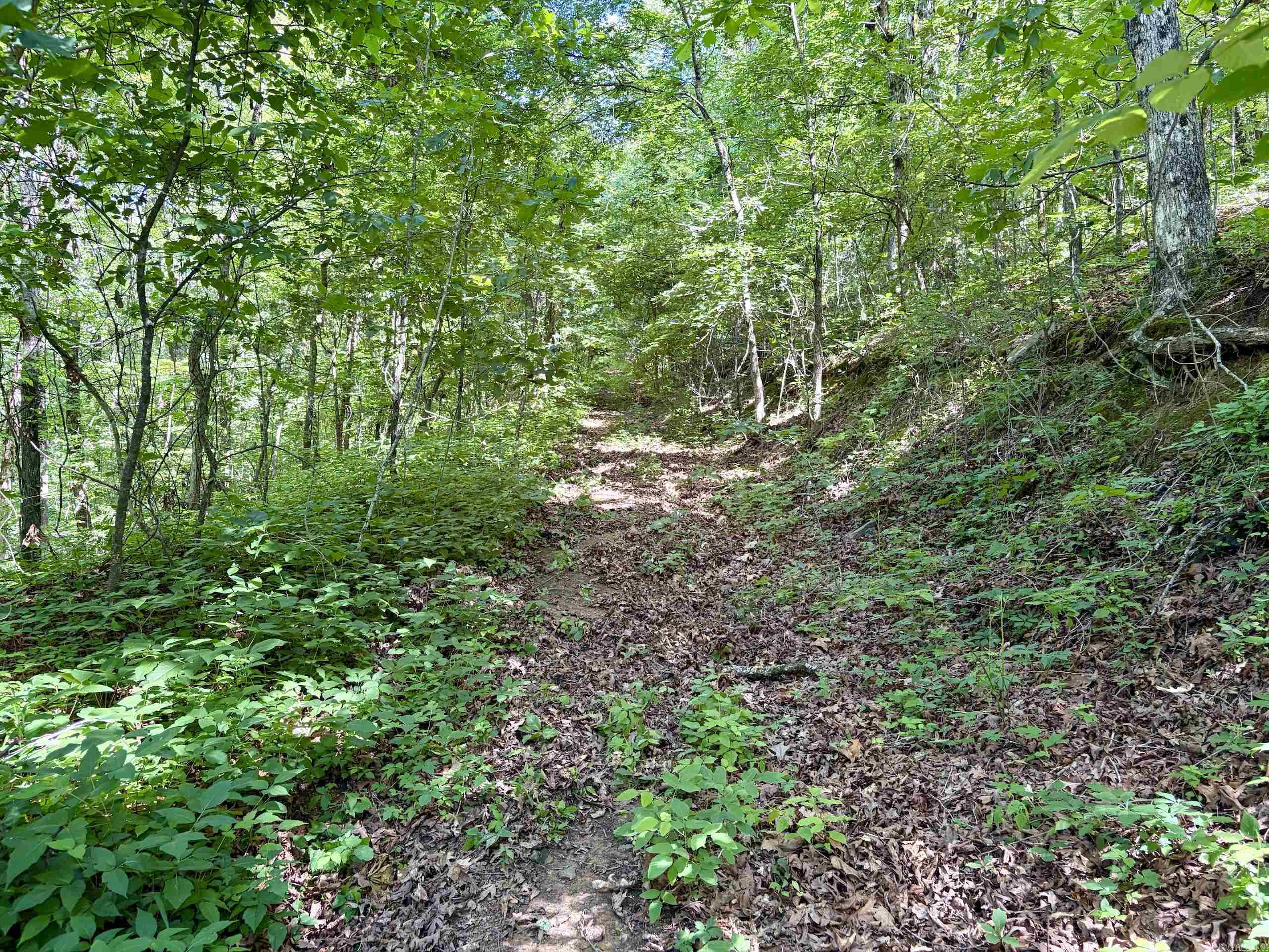 001 Burkett Flat Road Property Photo 24