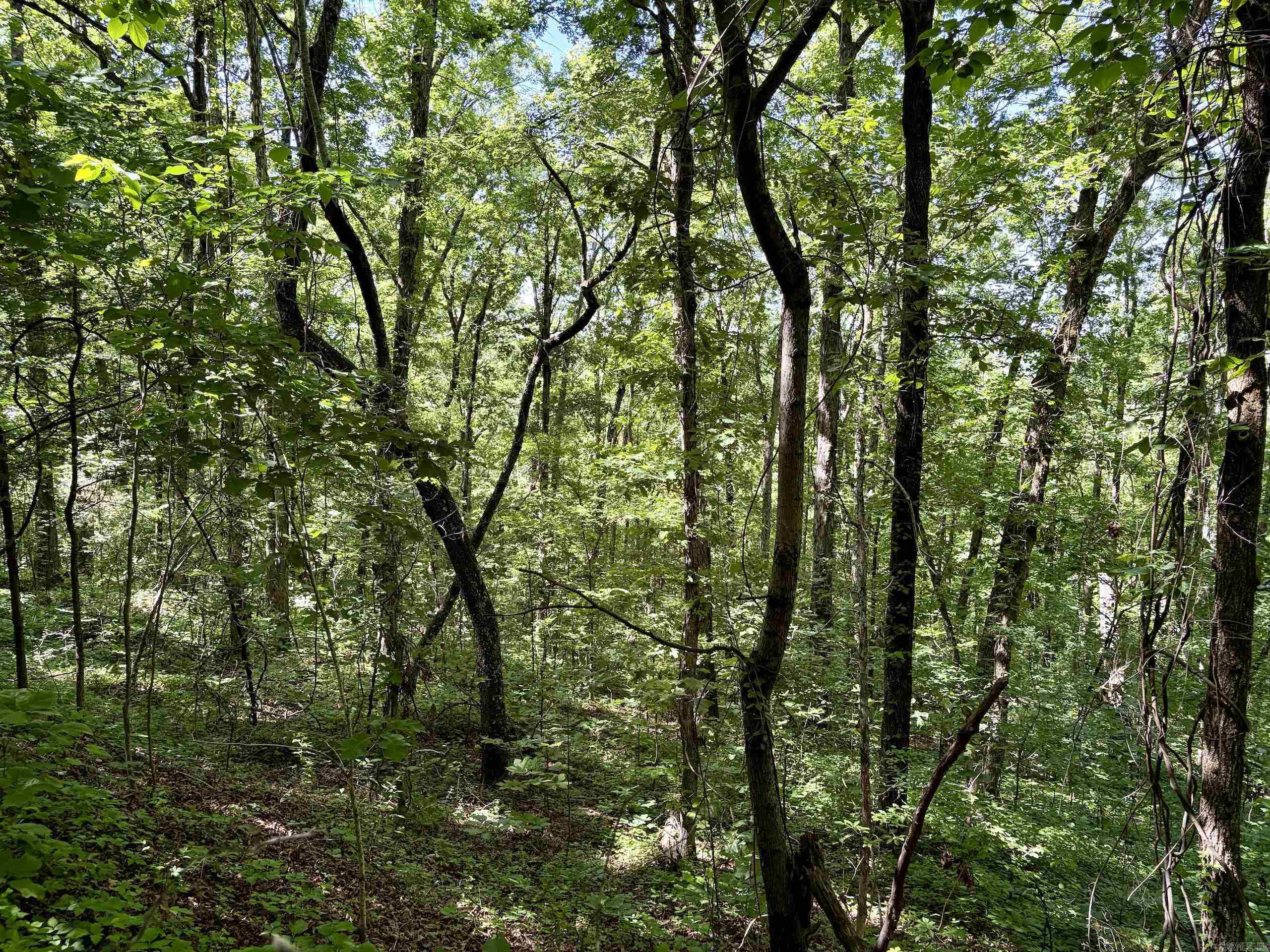 001 Burkett Flat Road Property Photo 25