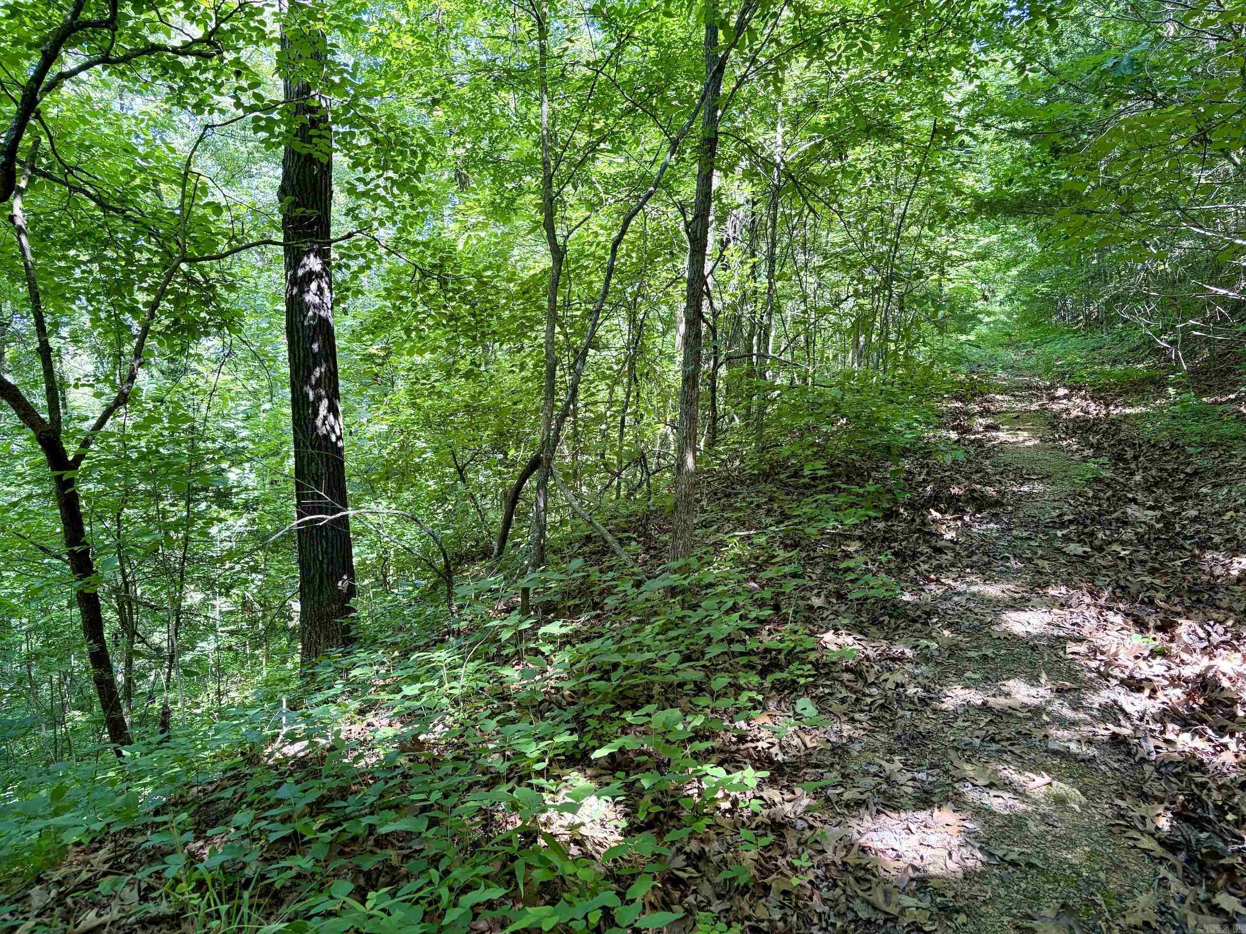 001 Burkett Flat Road Property Photo 26
