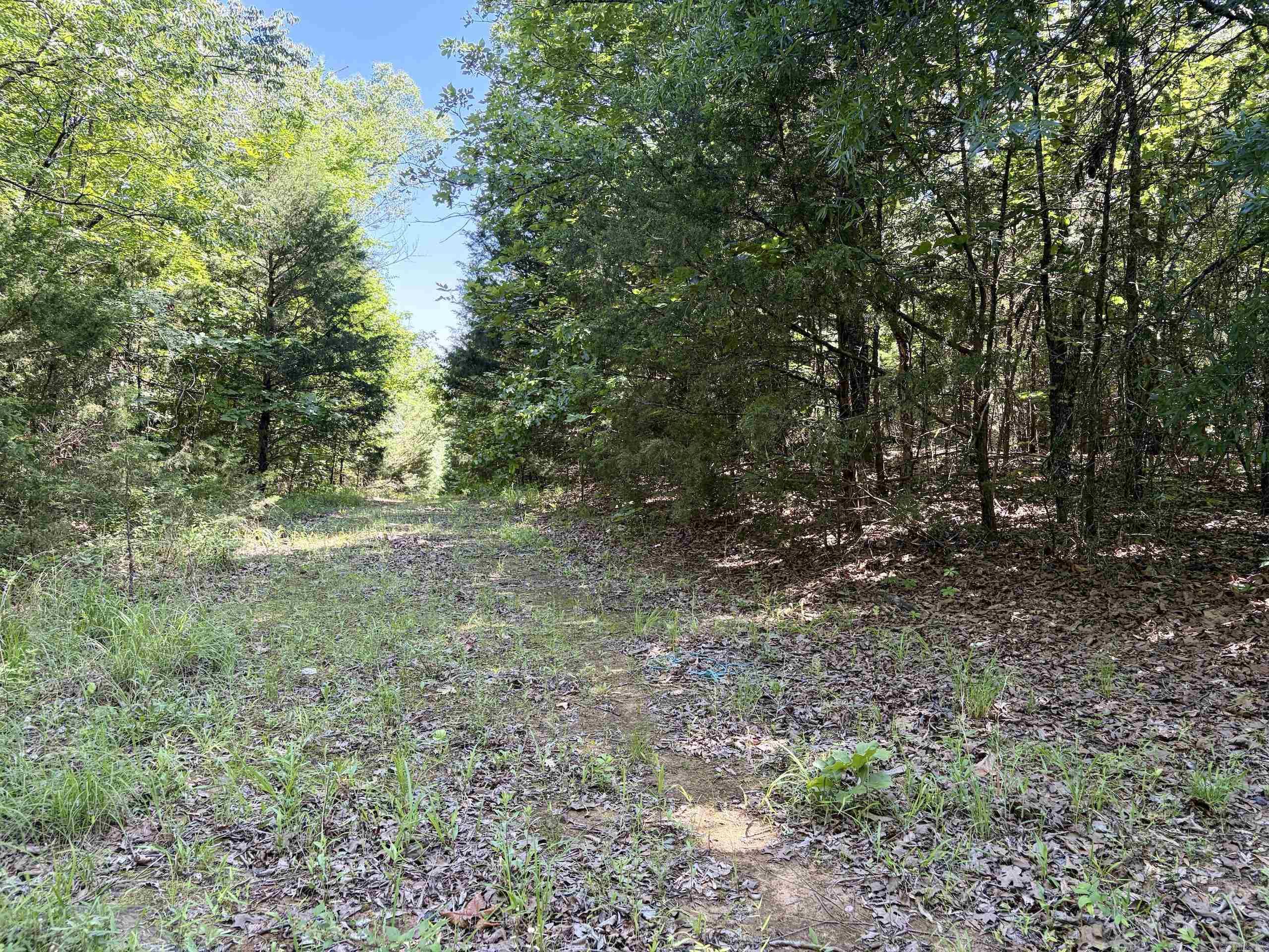 001 Burkett Flat Road Property Photo 27