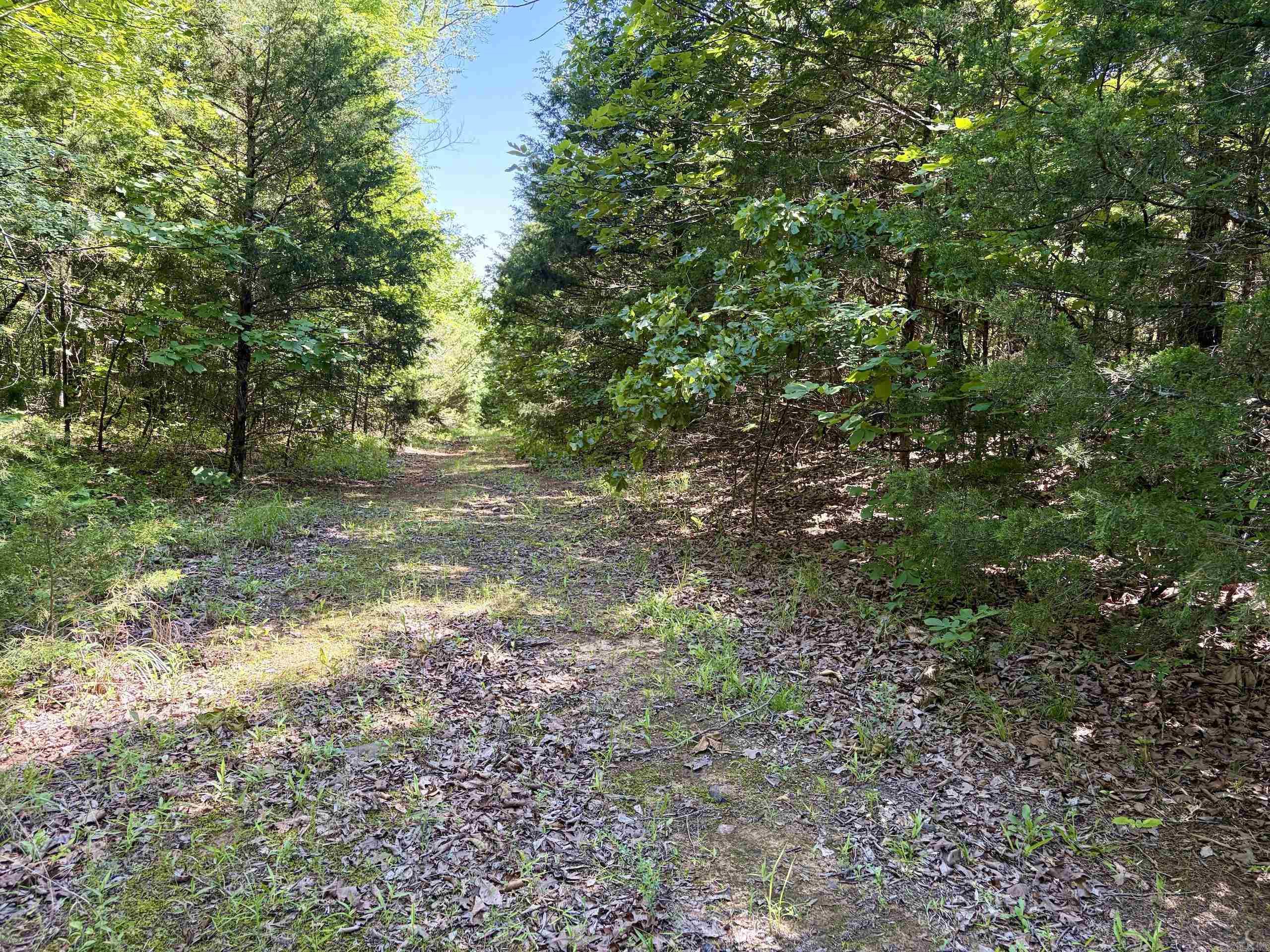 001 Burkett Flat Road Property Photo 28