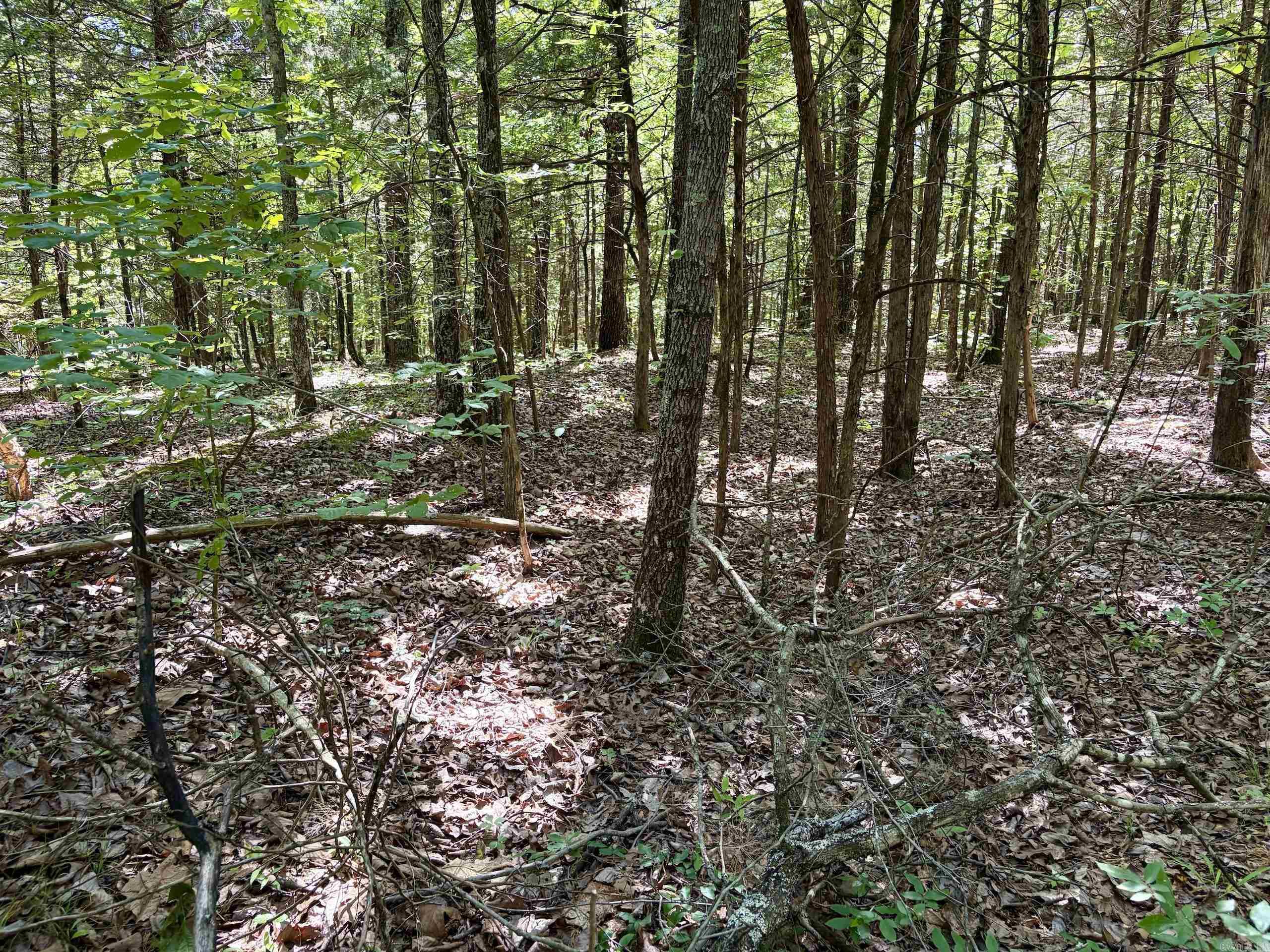 001 Burkett Flat Road Property Photo 29