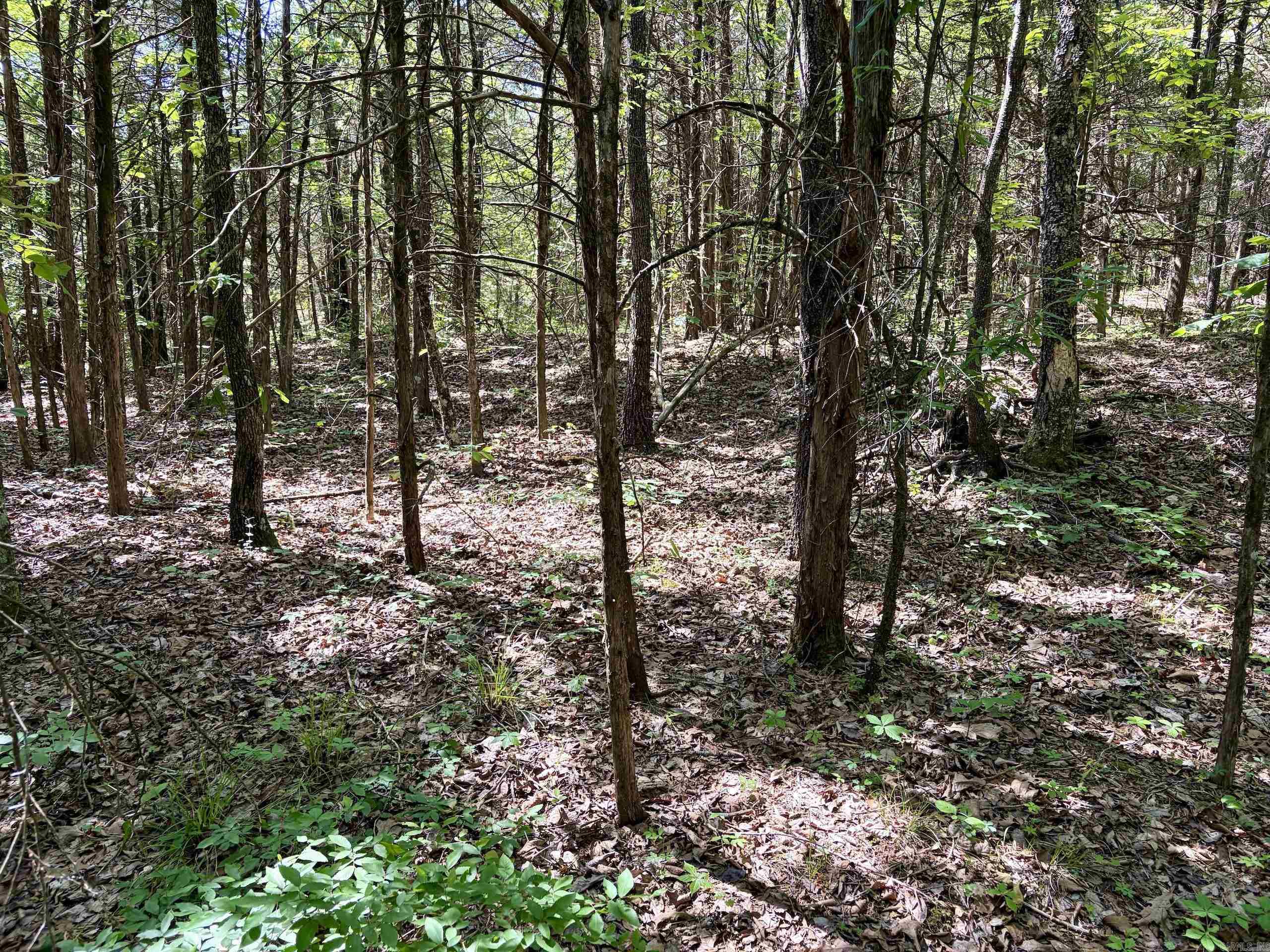 001 Burkett Flat Road Property Photo 30