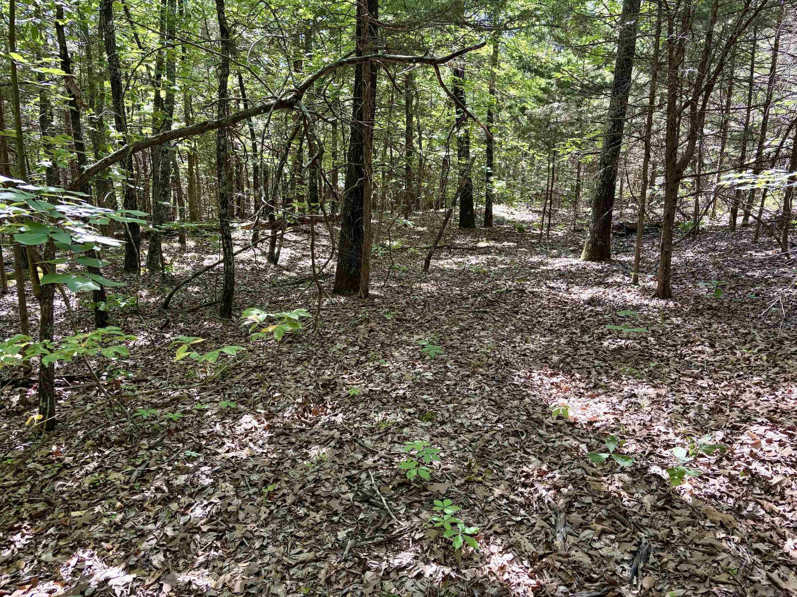 001 Burkett Flat Road Property Photo 31