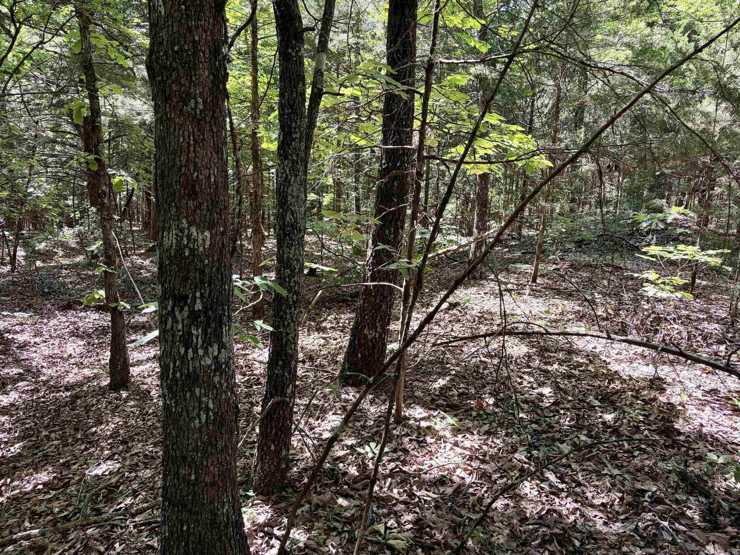 001 Burkett Flat Road Property Photo 32