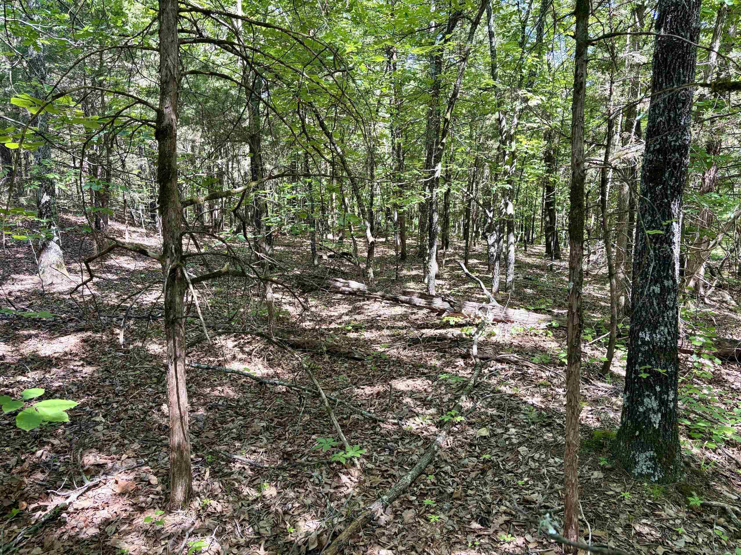 001 Burkett Flat Road Property Photo 33