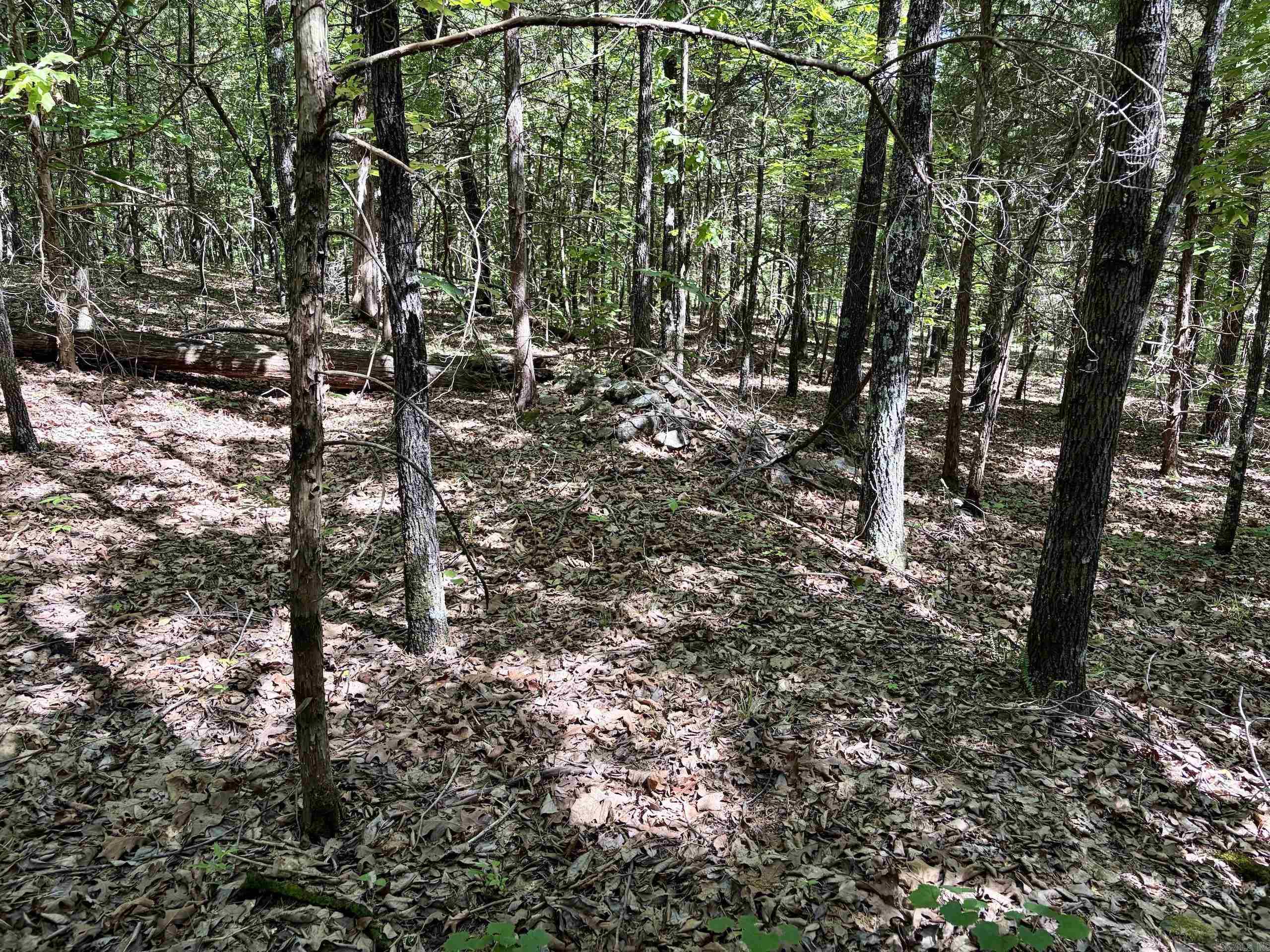 001 Burkett Flat Road Property Photo 34