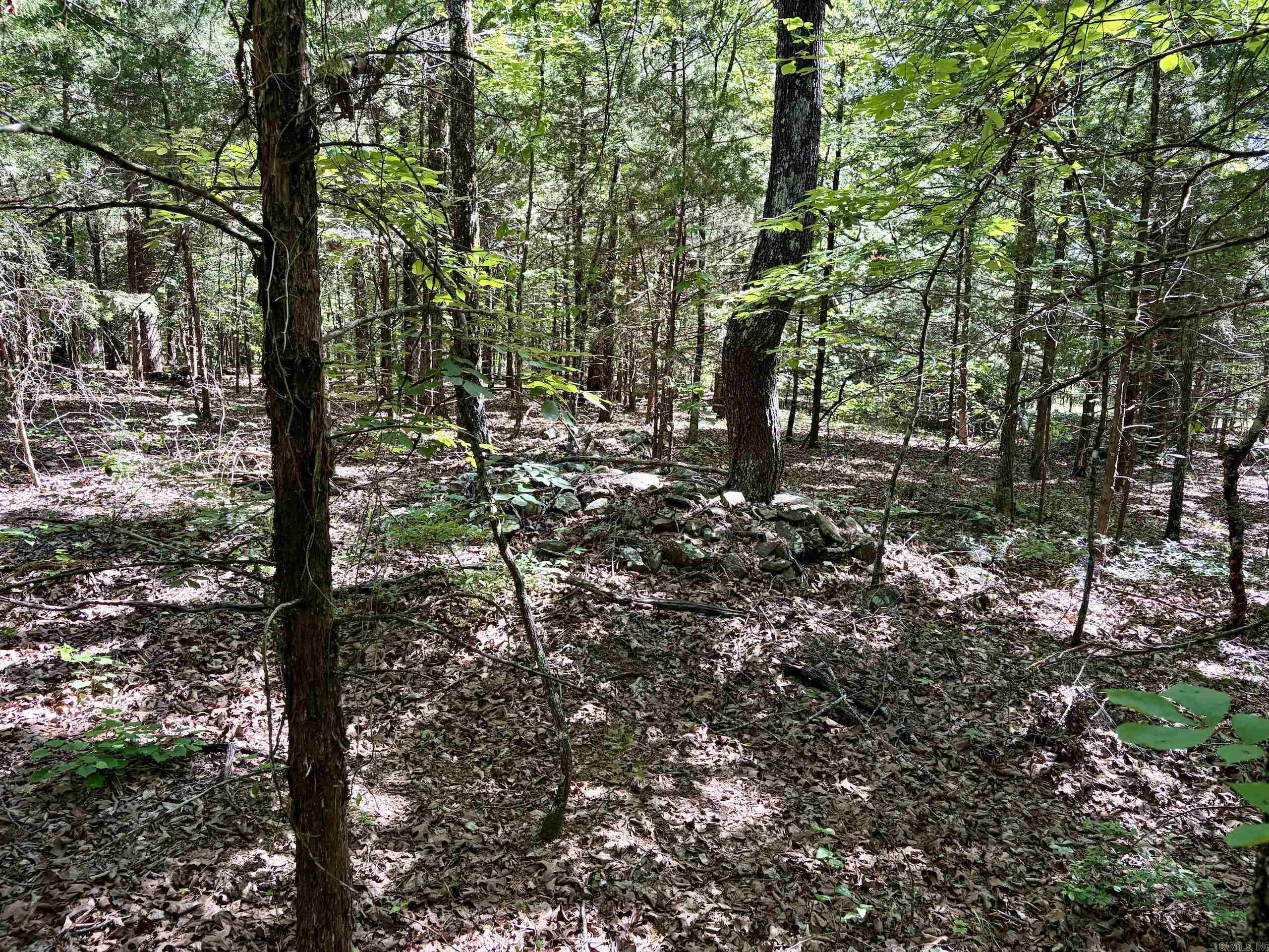 001 Burkett Flat Road Property Photo 35