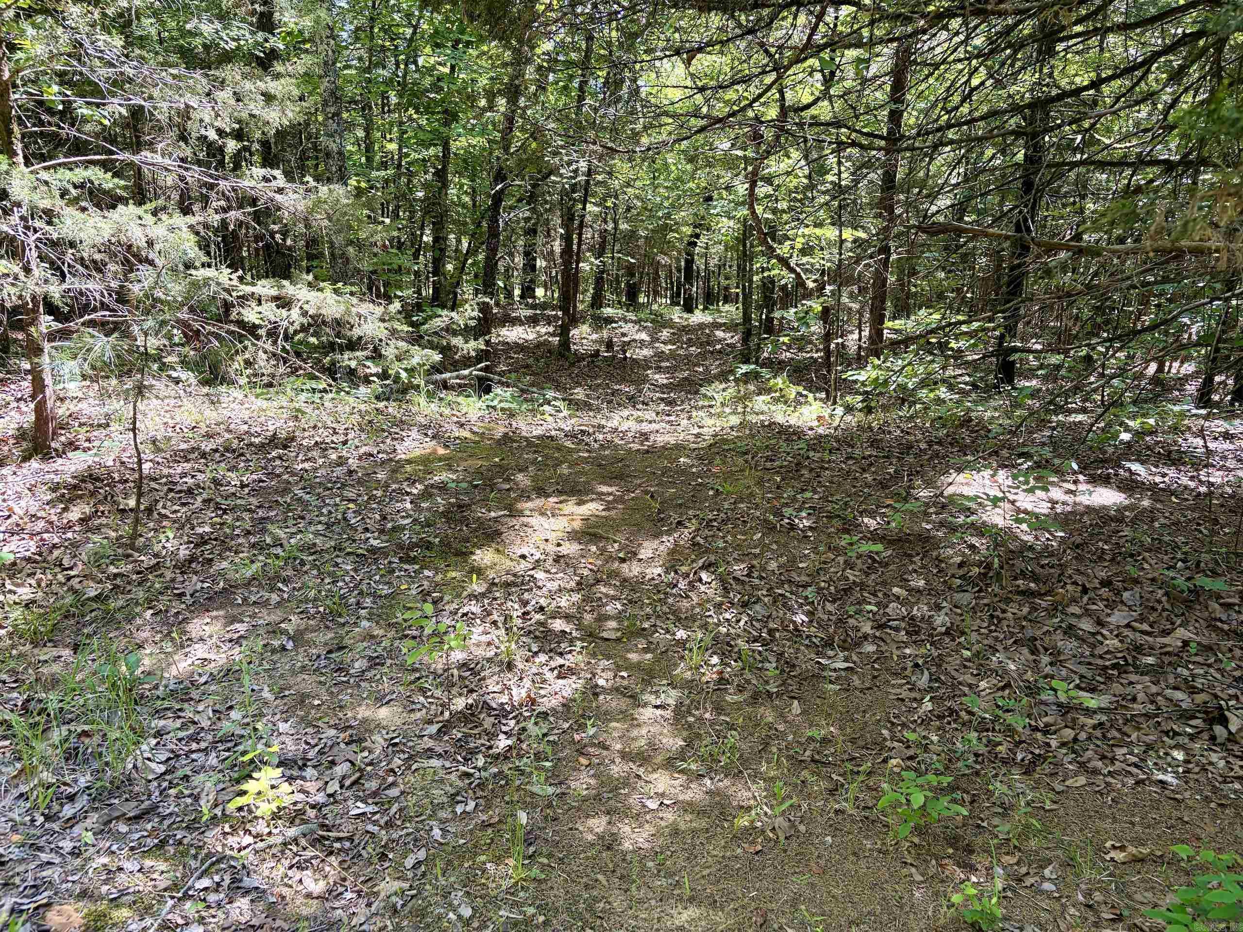 001 Burkett Flat Road Property Photo 36