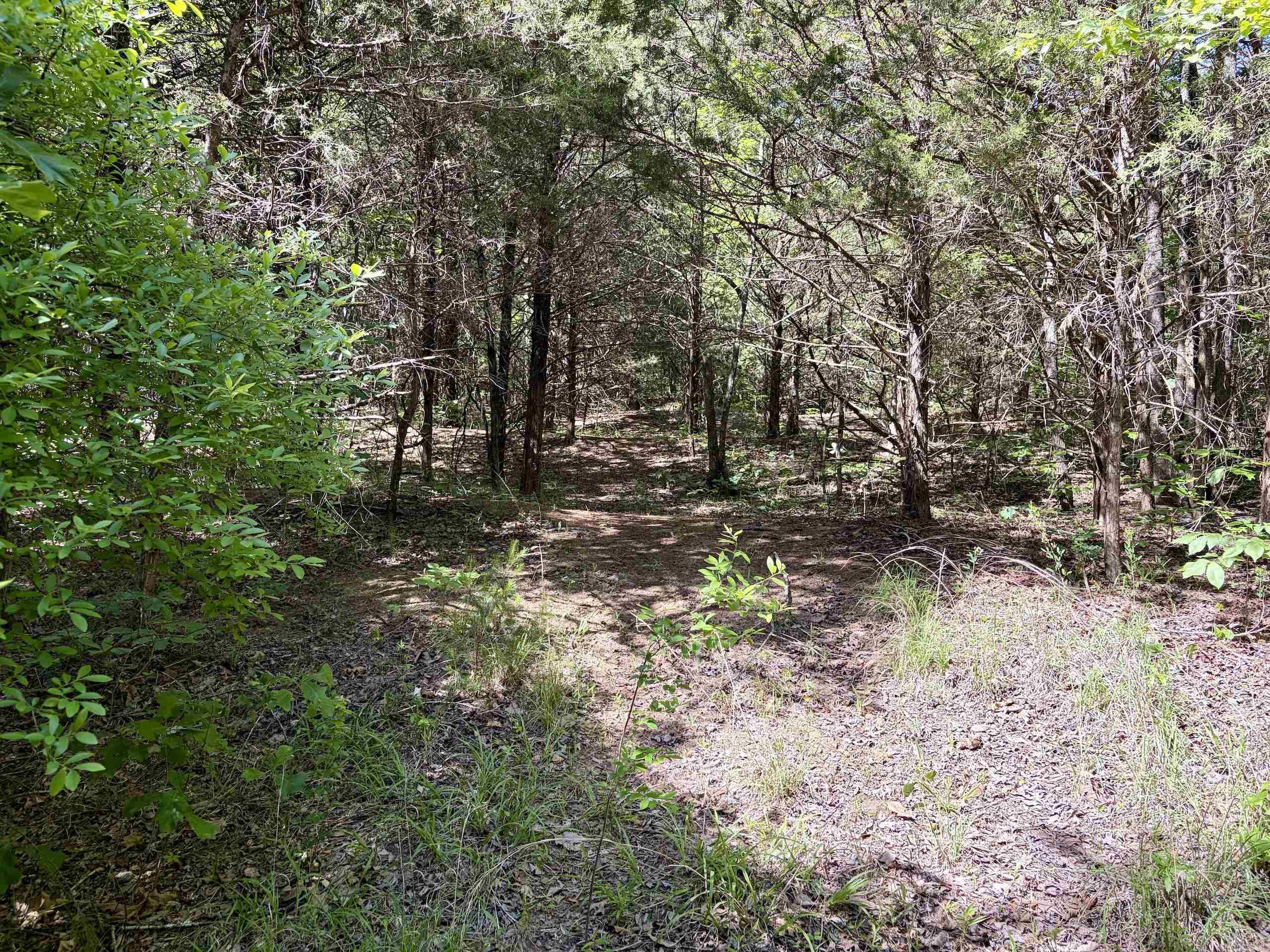 001 Burkett Flat Road Property Photo 37