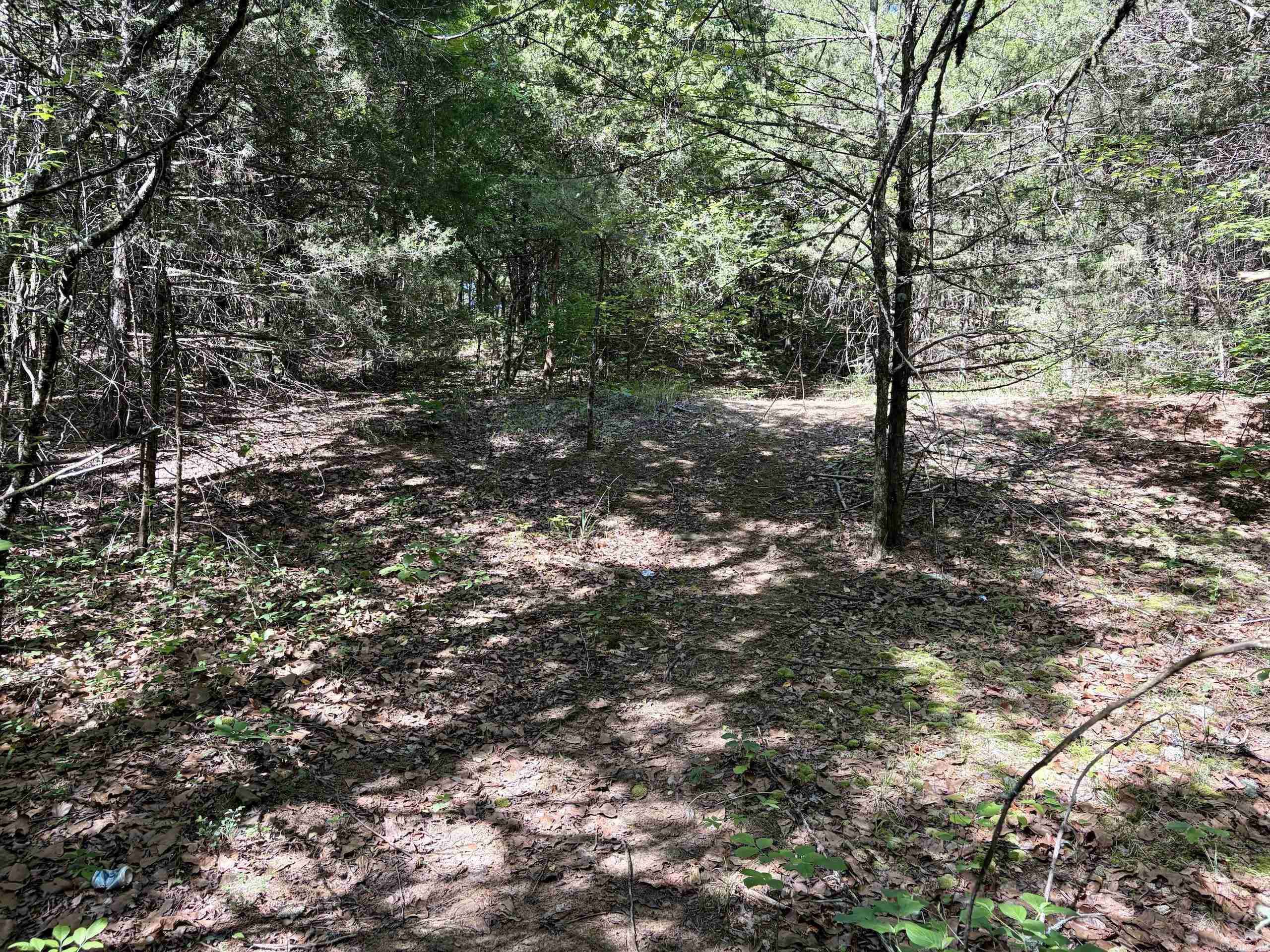 001 Burkett Flat Road Property Photo 38