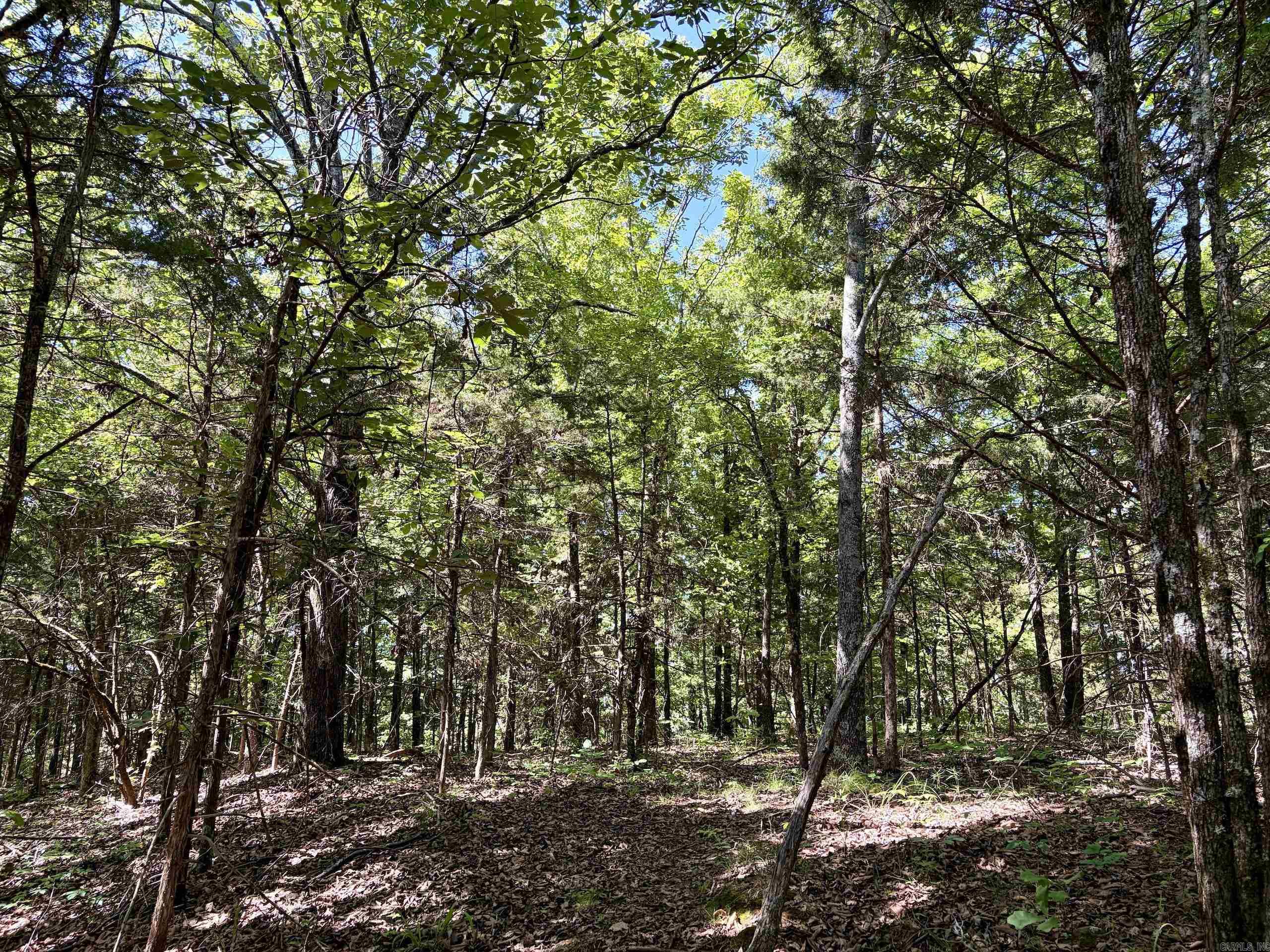 001 Burkett Flat Road Property Photo 39