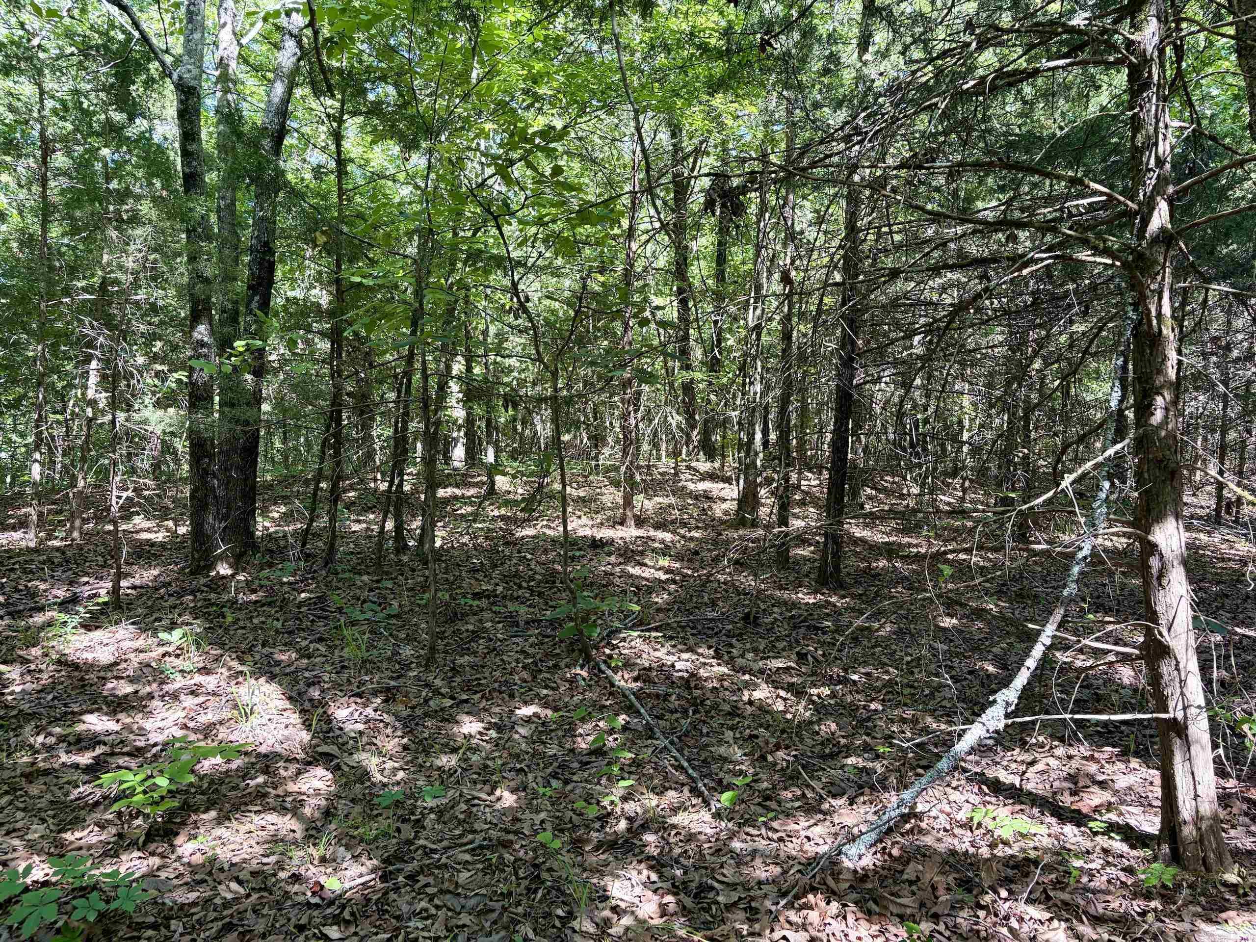 001 Burkett Flat Road Property Photo 40