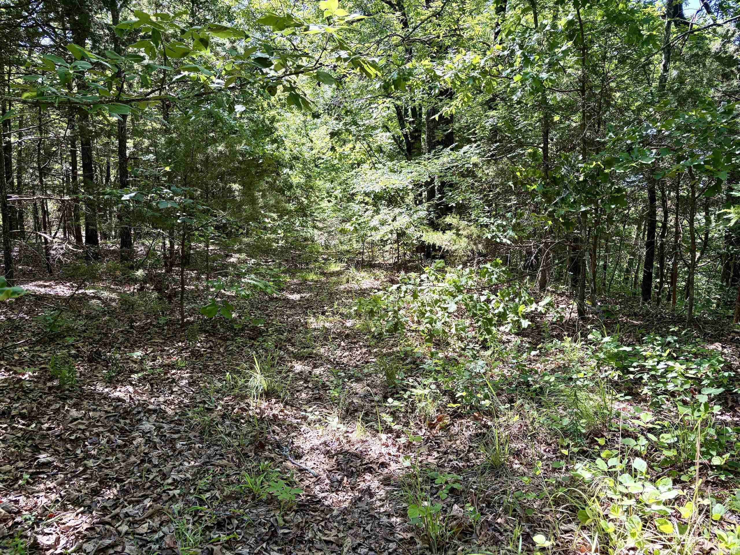 001 Burkett Flat Road Property Photo 41