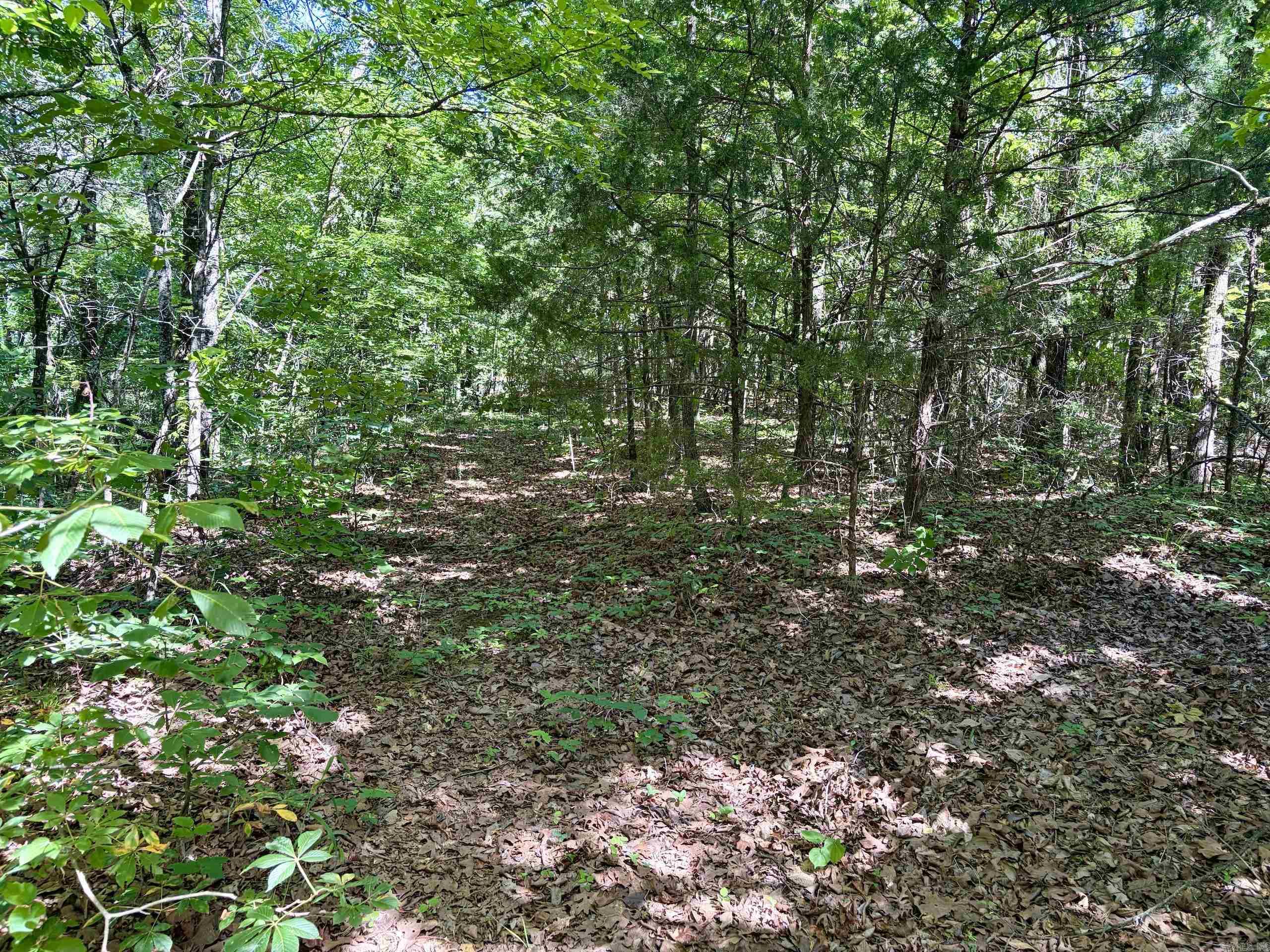 001 Burkett Flat Road Property Photo 42