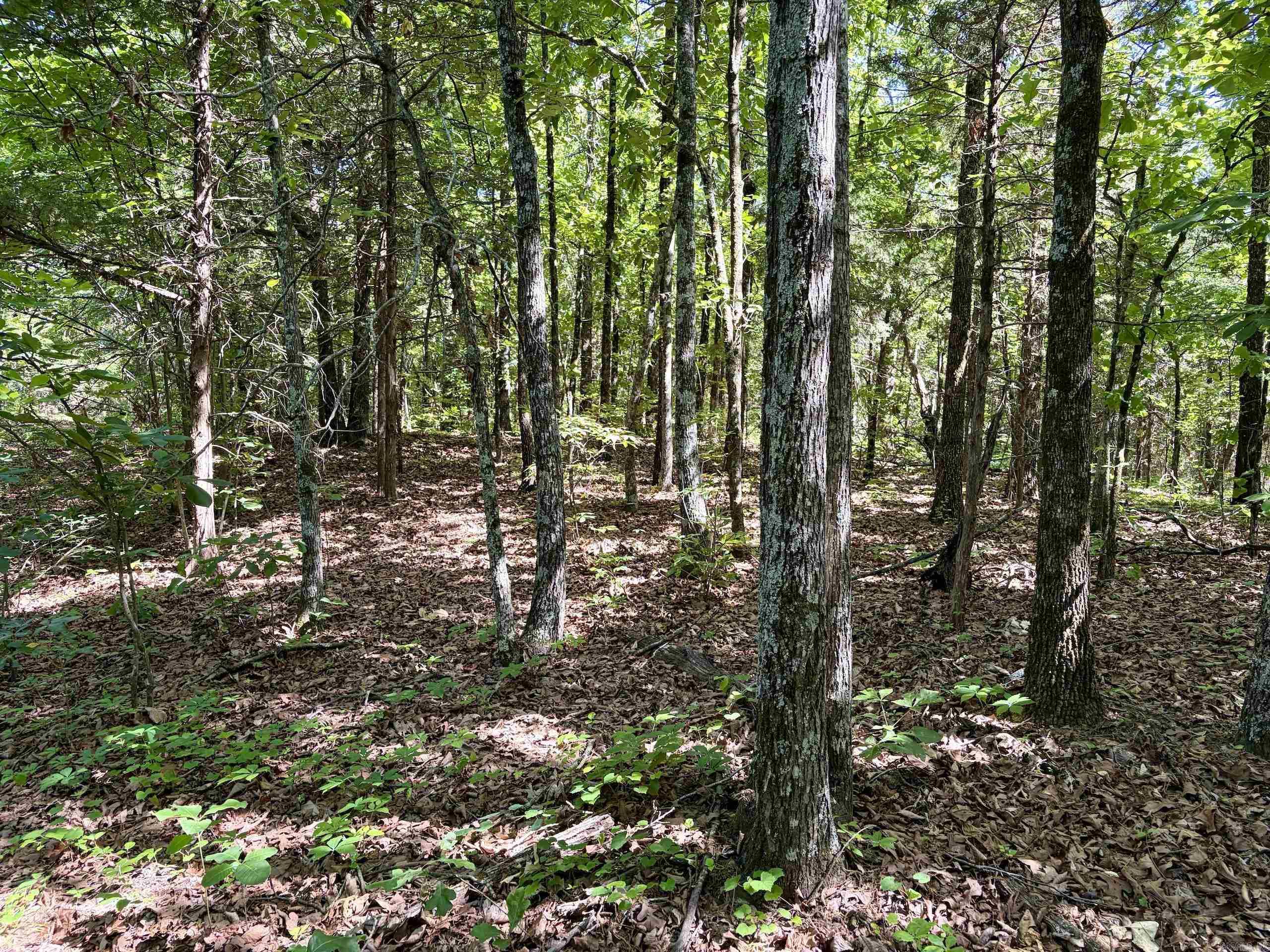 001 Burkett Flat Road Property Photo 43