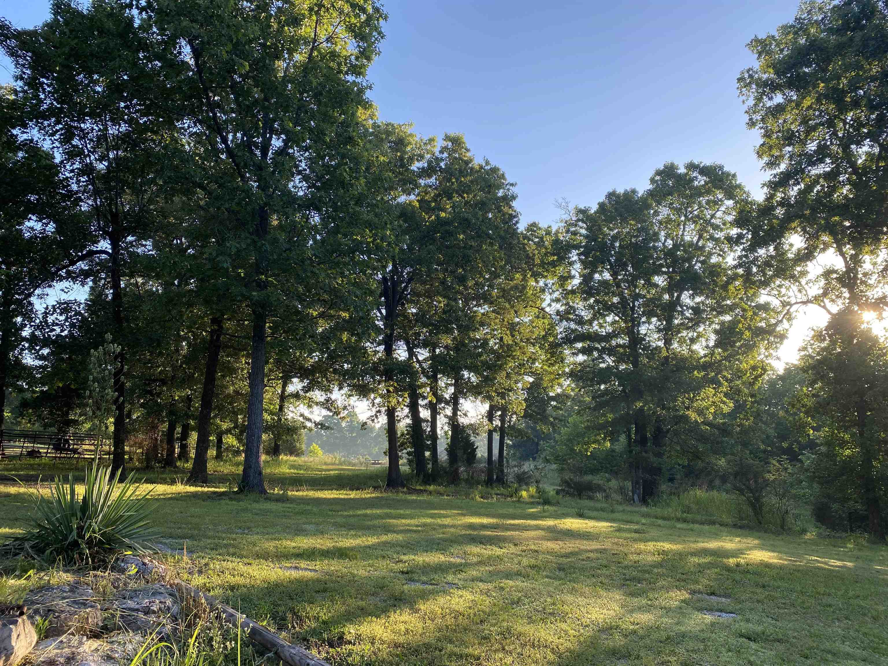 2616 Hwy 62 Property Photo 4