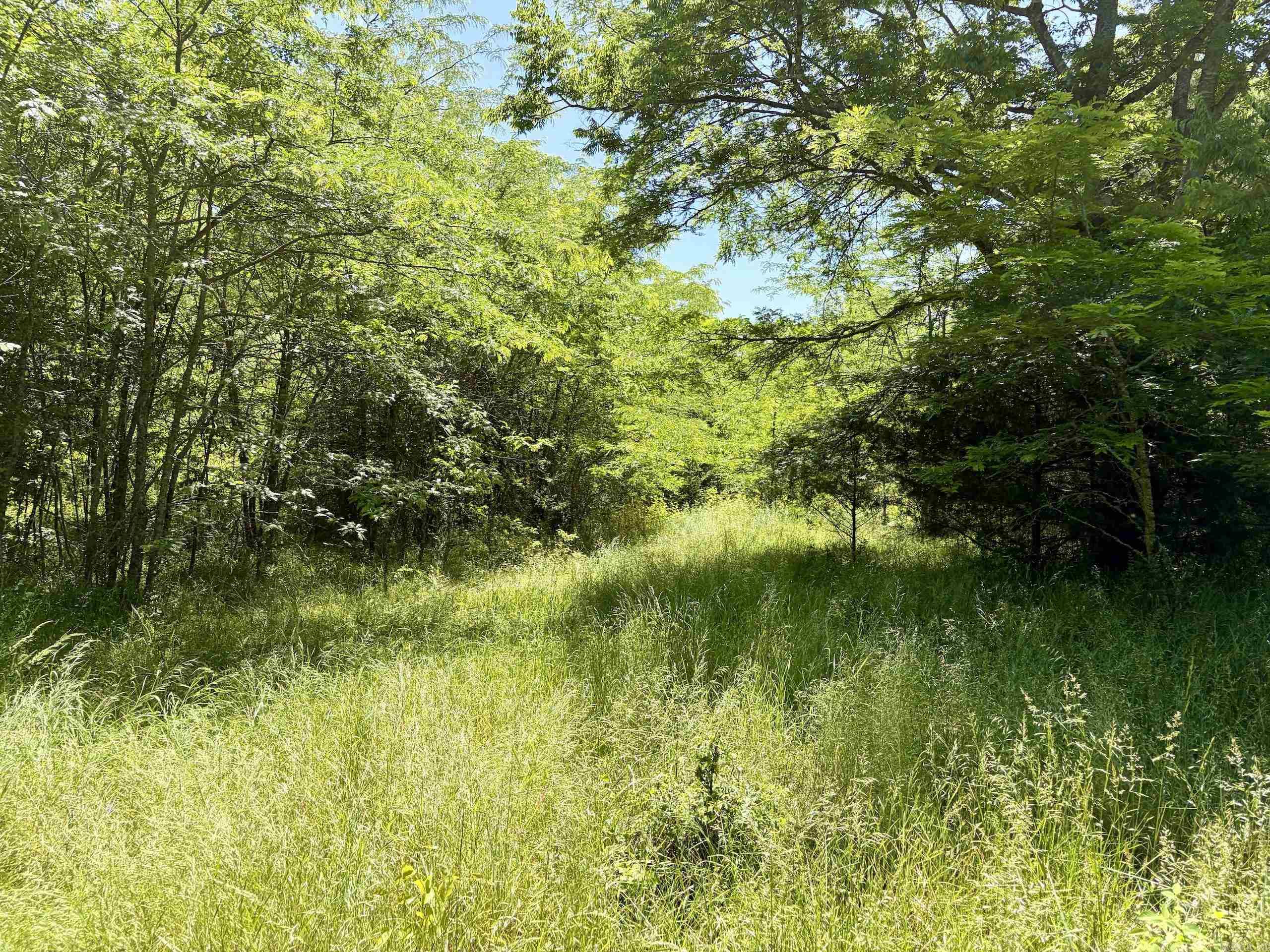 002 Burkett Flat Road Property Photo 9