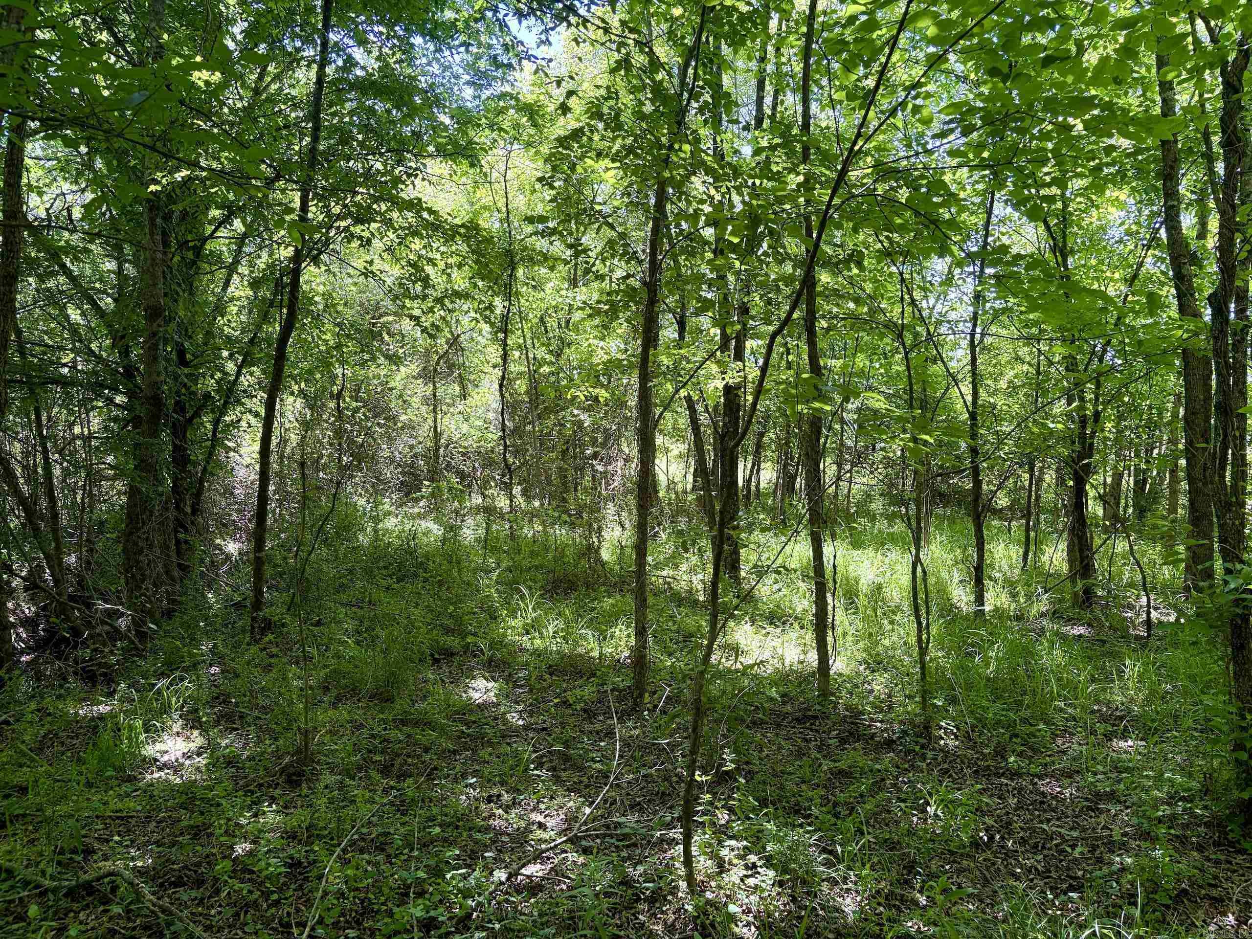 002 Burkett Flat Road Property Photo 19