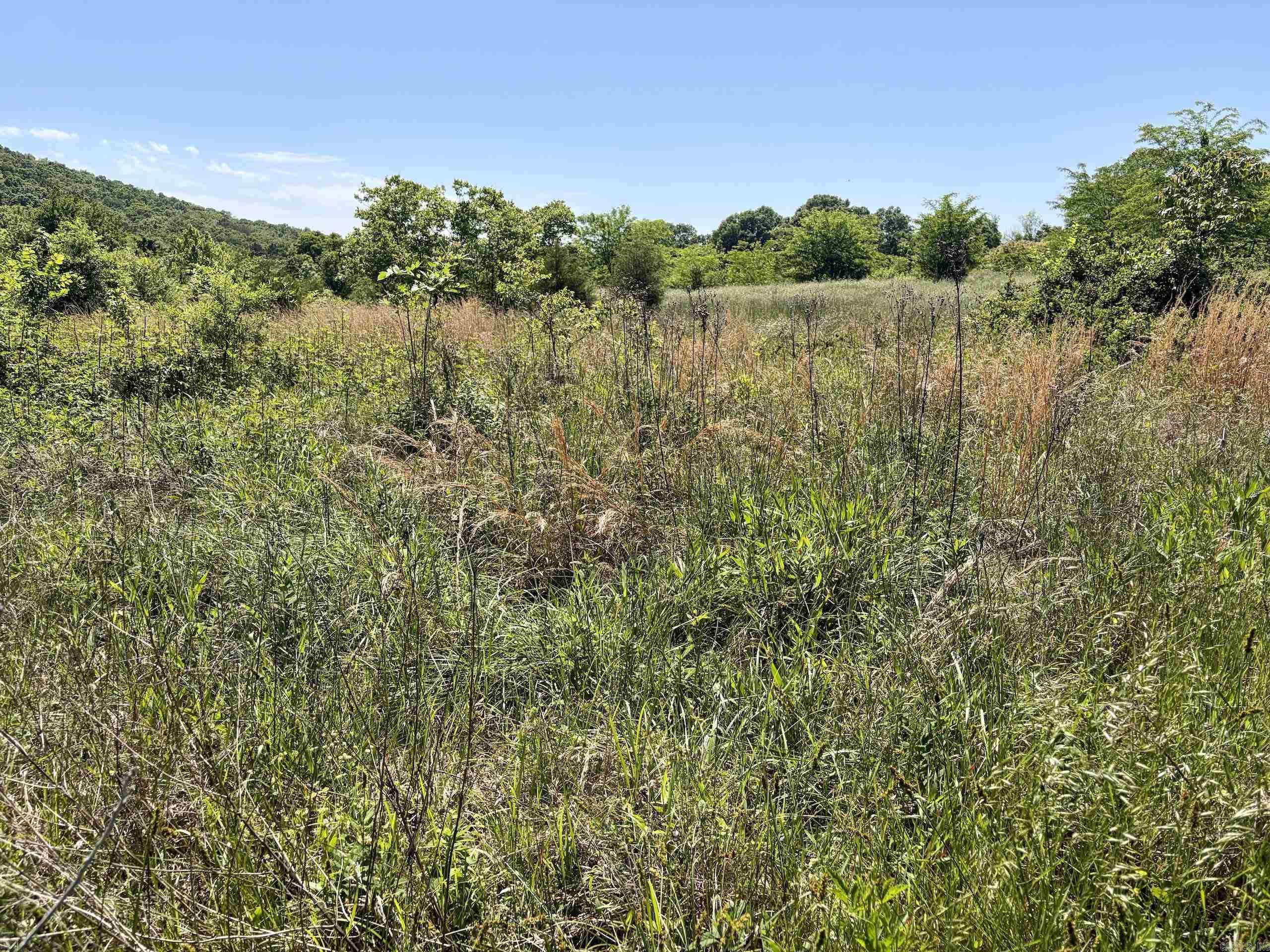 002 Burkett Flat Road Property Photo 21