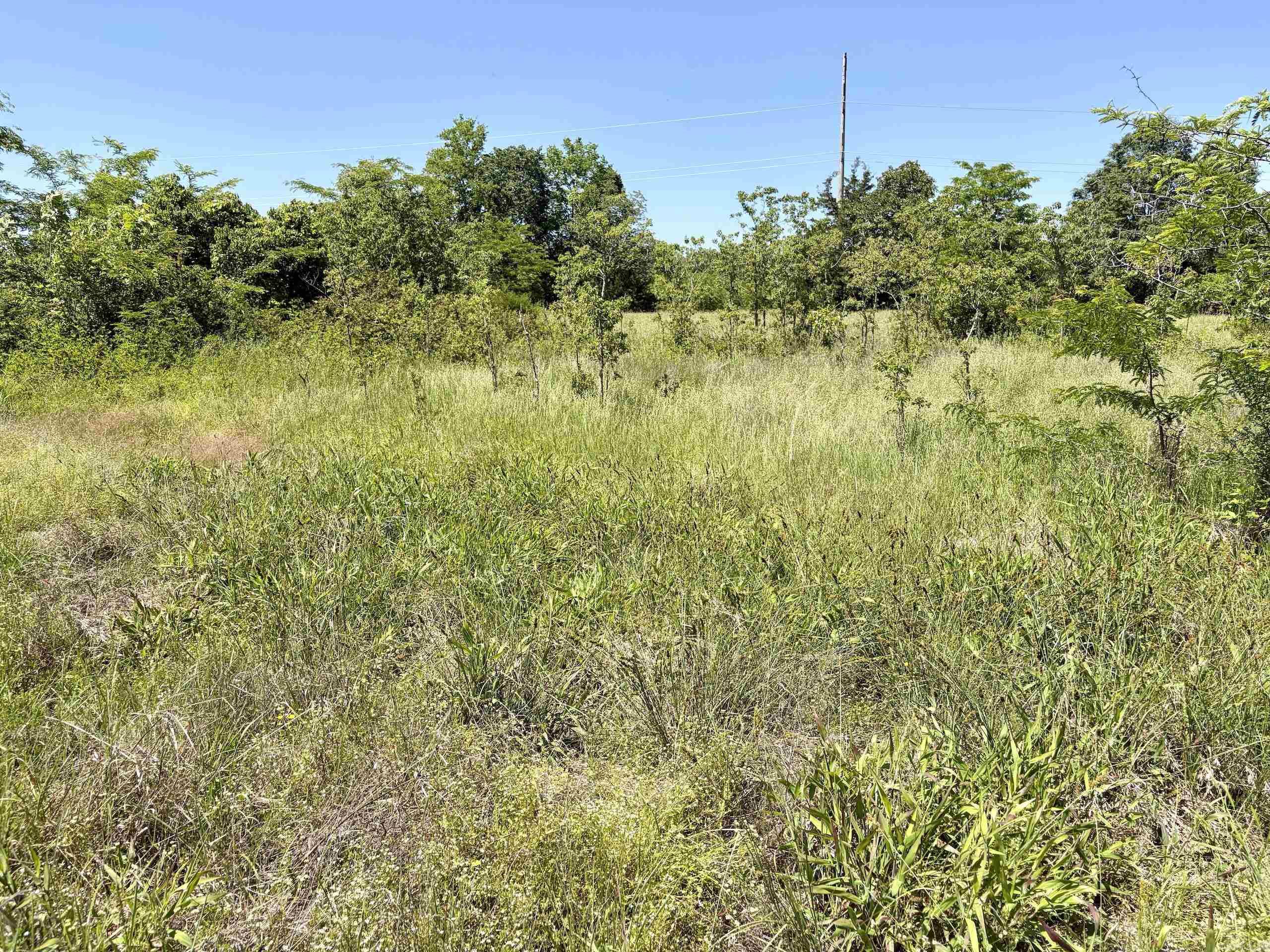 002 Burkett Flat Road Property Photo 23