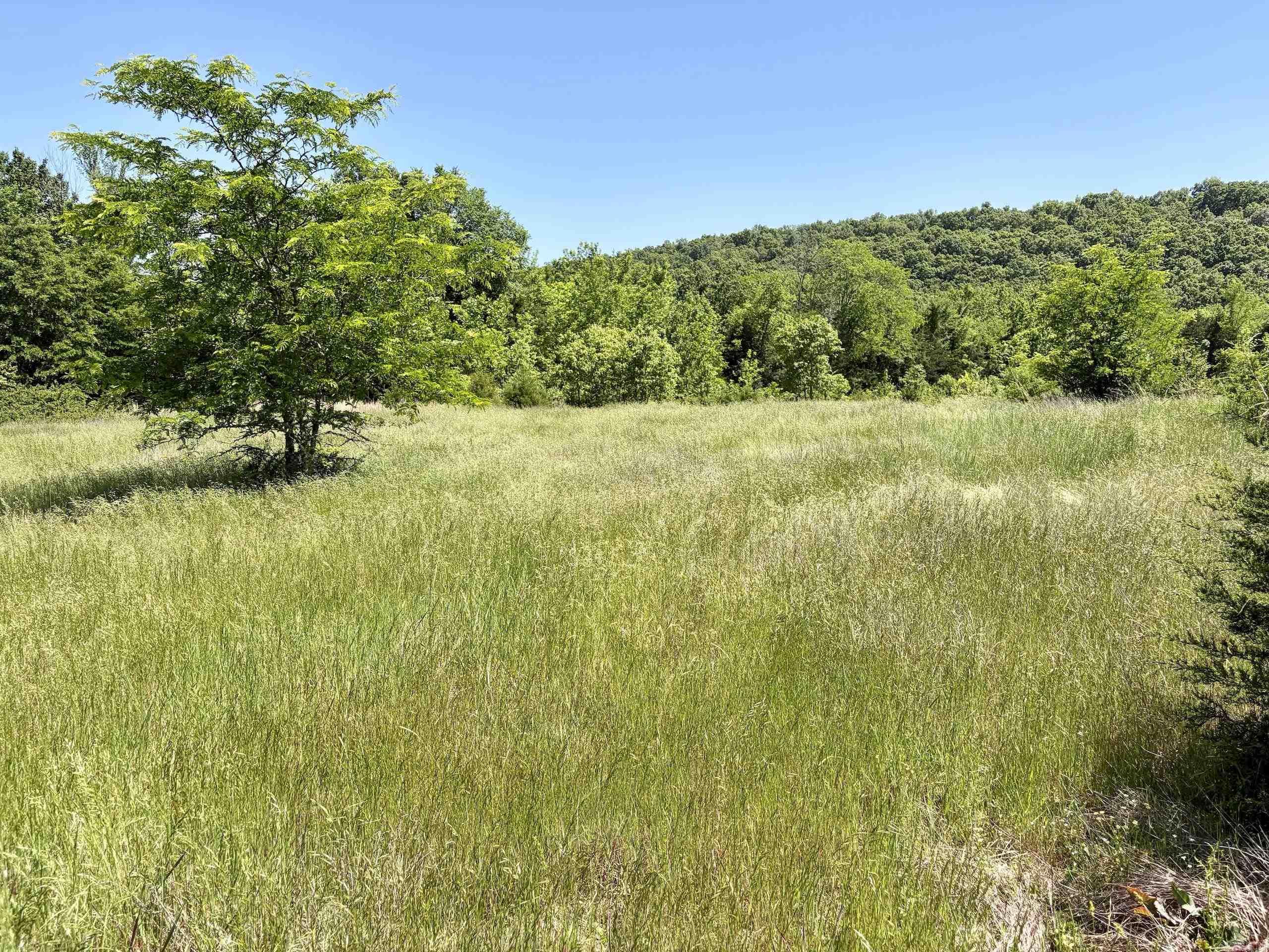 002 Burkett Flat Road Property Photo 25