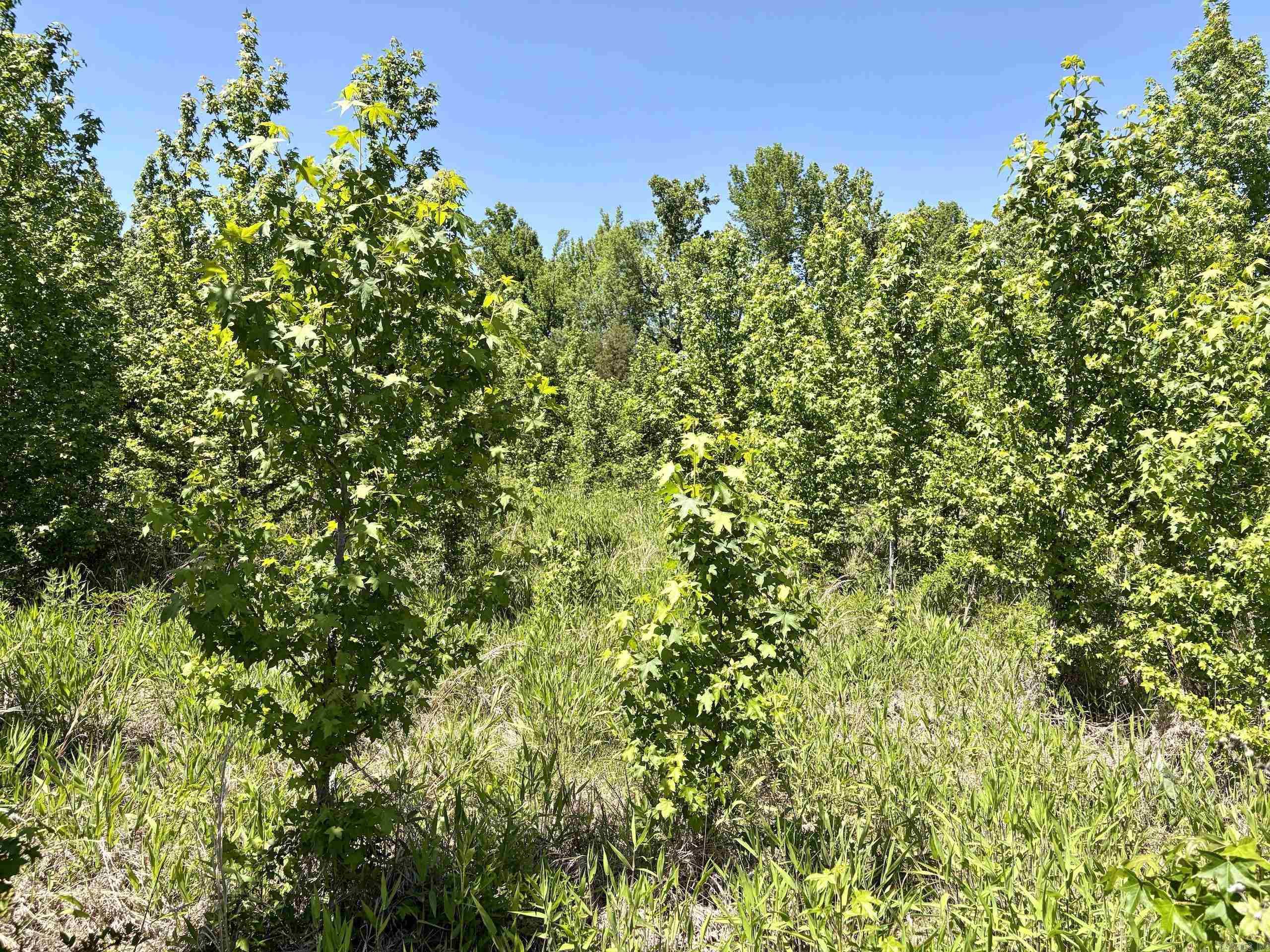 002 Burkett Flat Road Property Photo 29