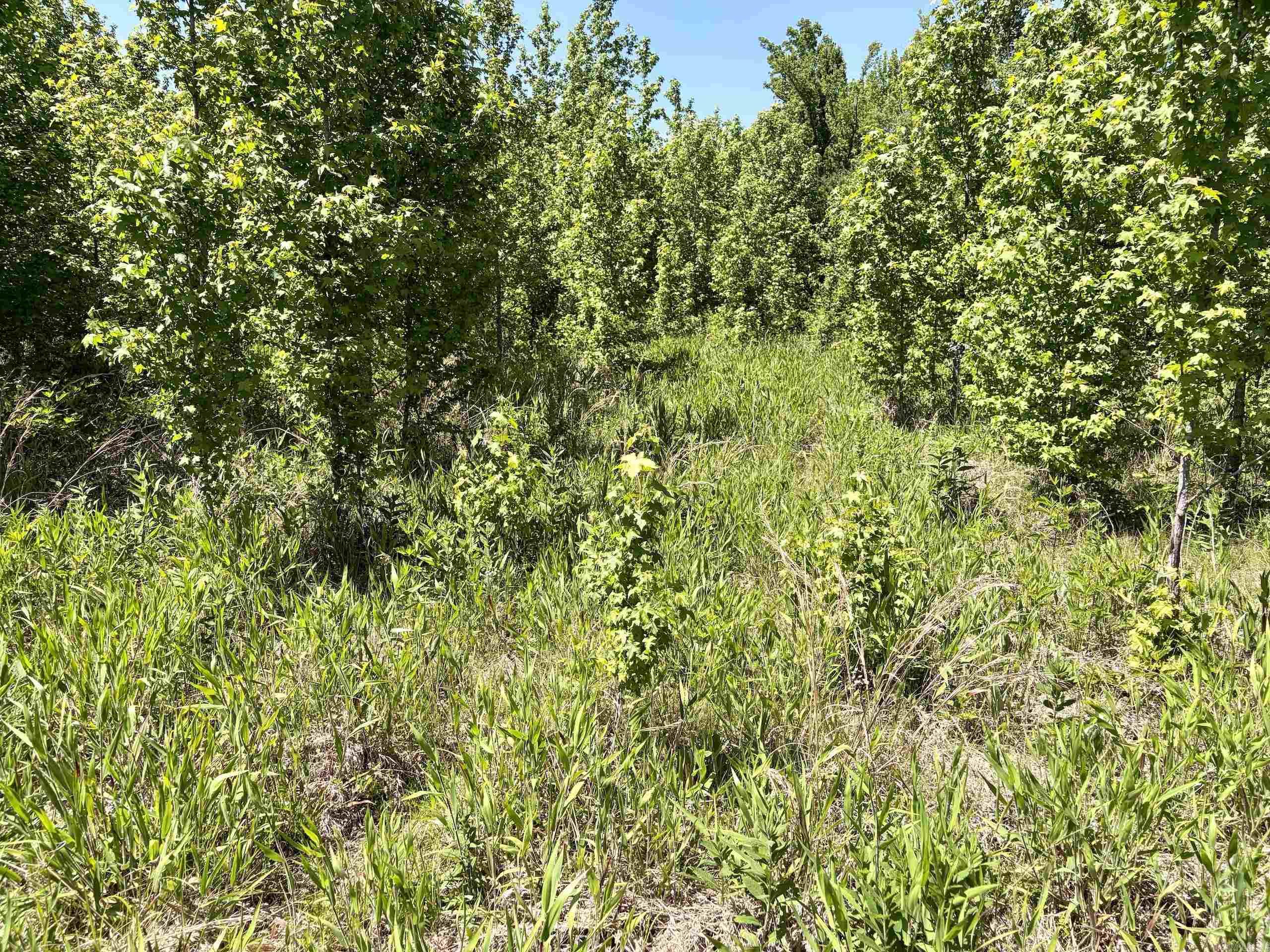 002 Burkett Flat Road Property Photo 30