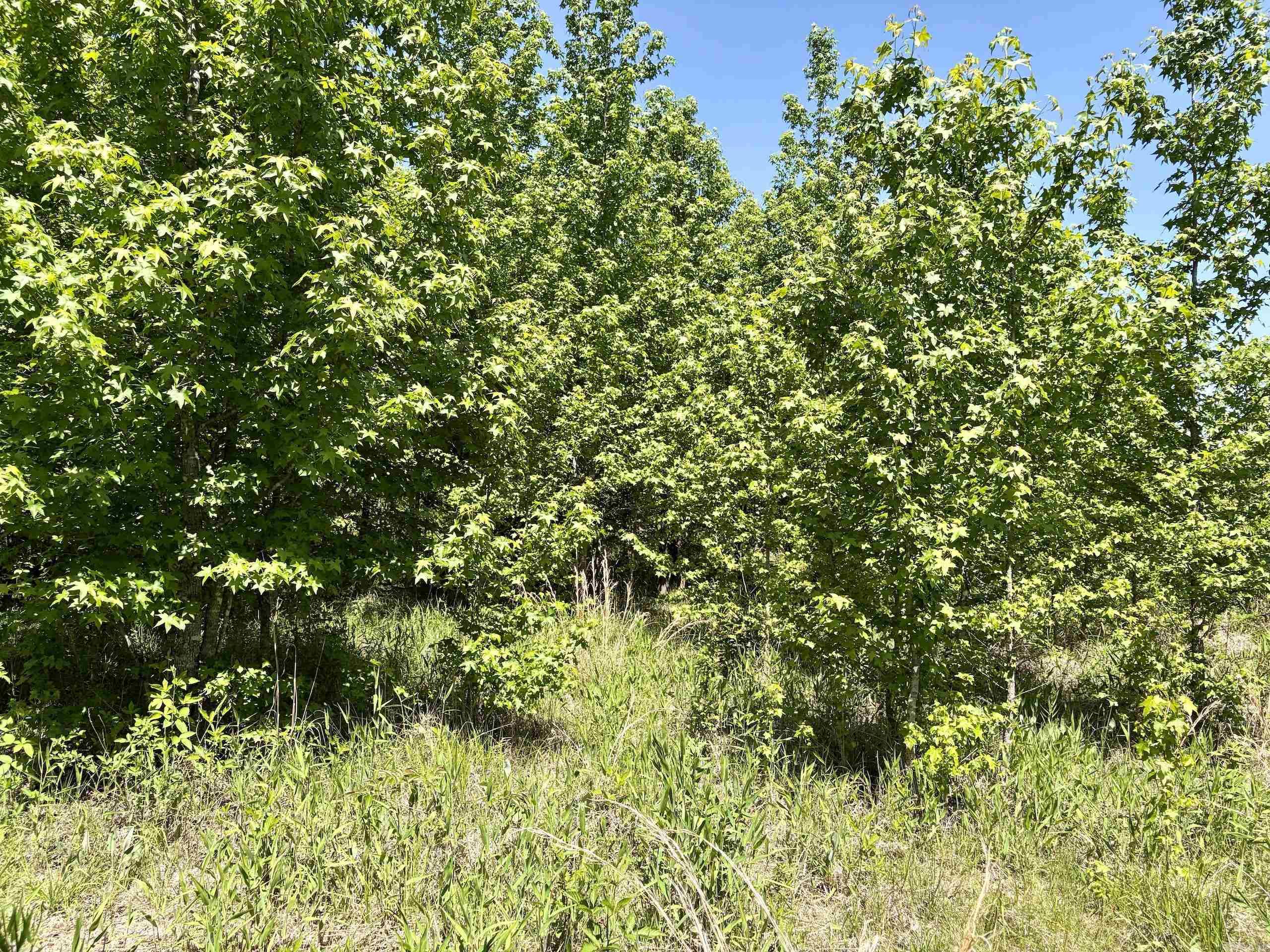 002 Burkett Flat Road Property Photo 31