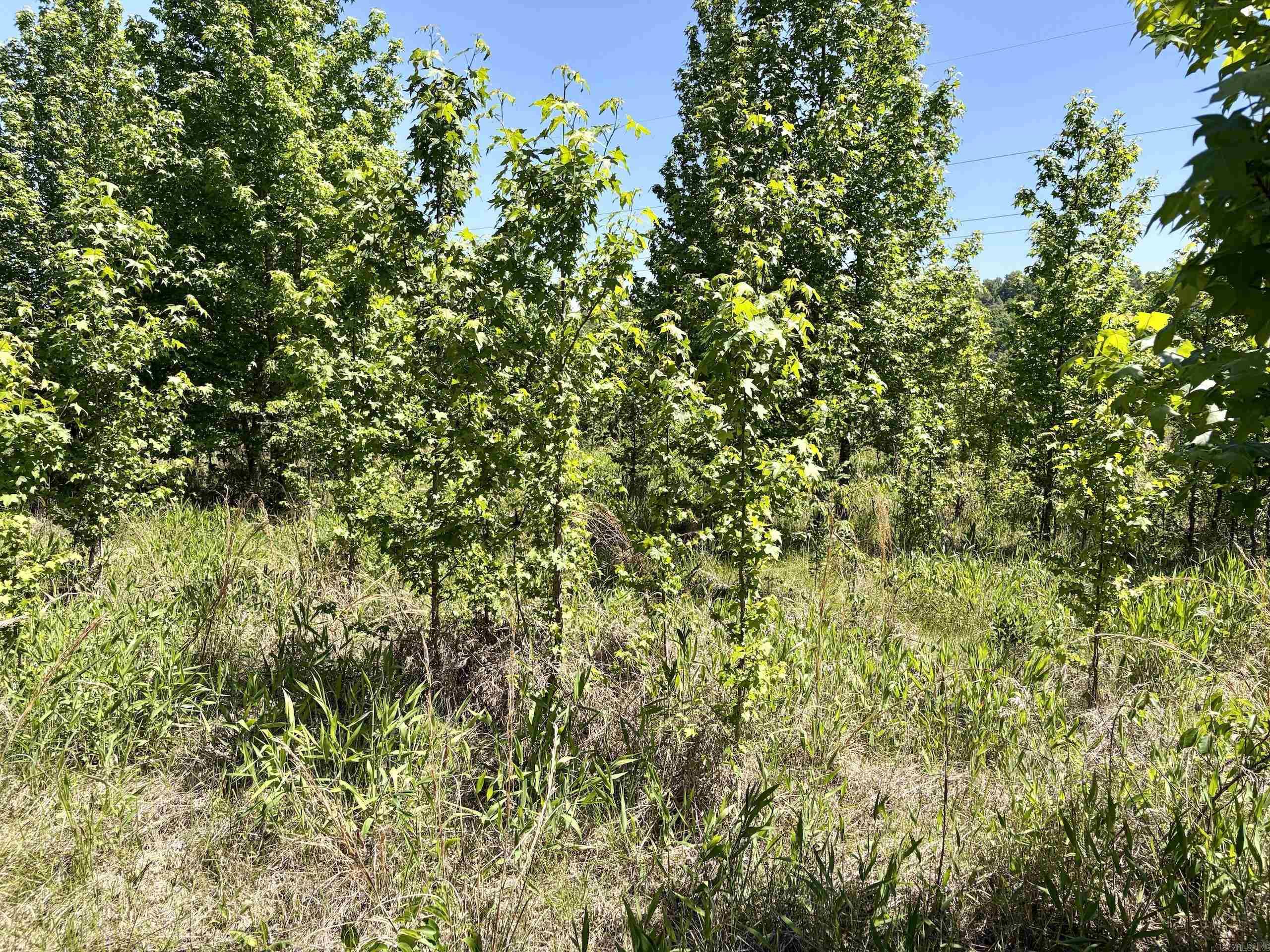 002 Burkett Flat Road Property Photo 32