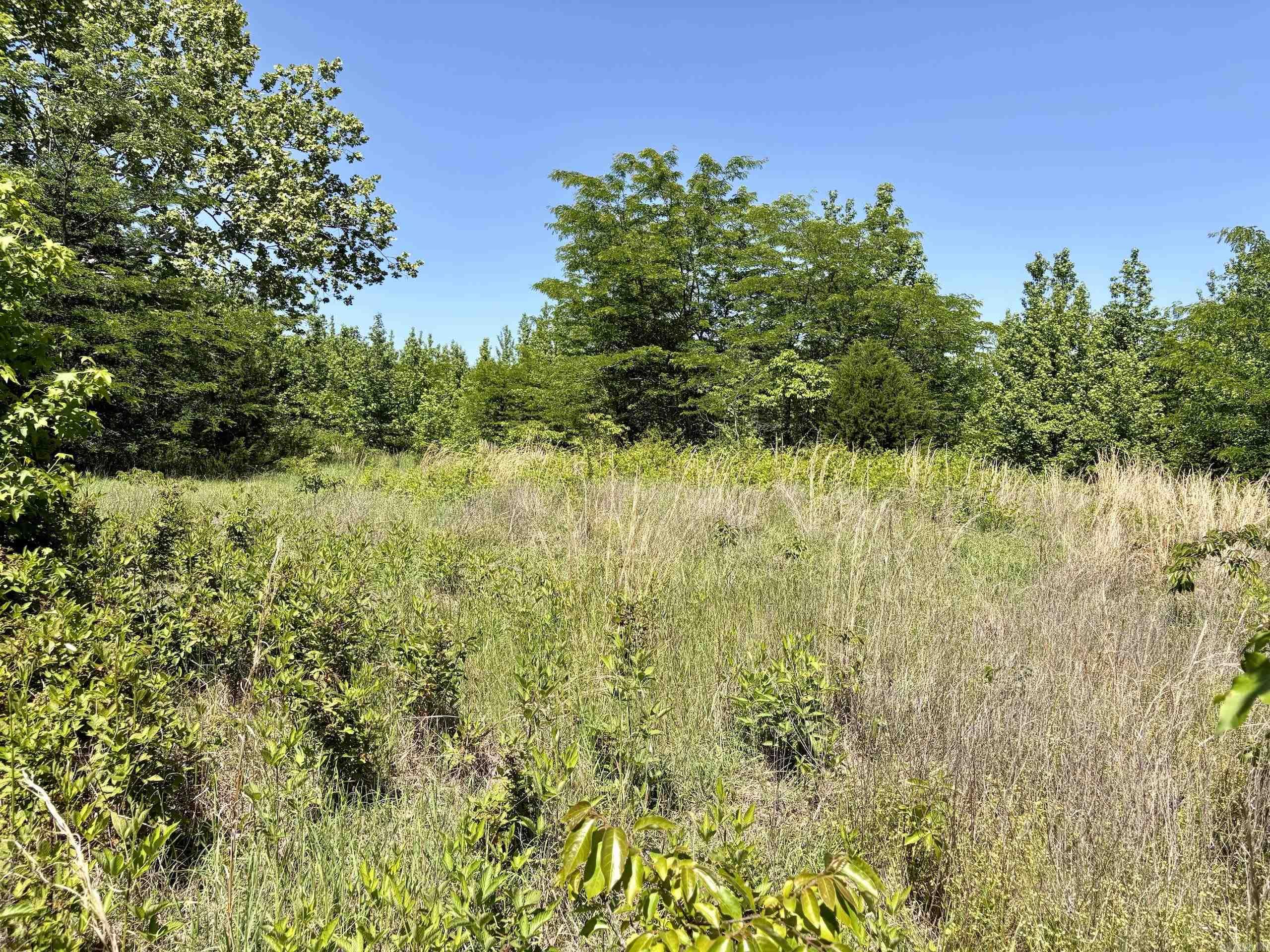 002 Burkett Flat Road Property Photo 34
