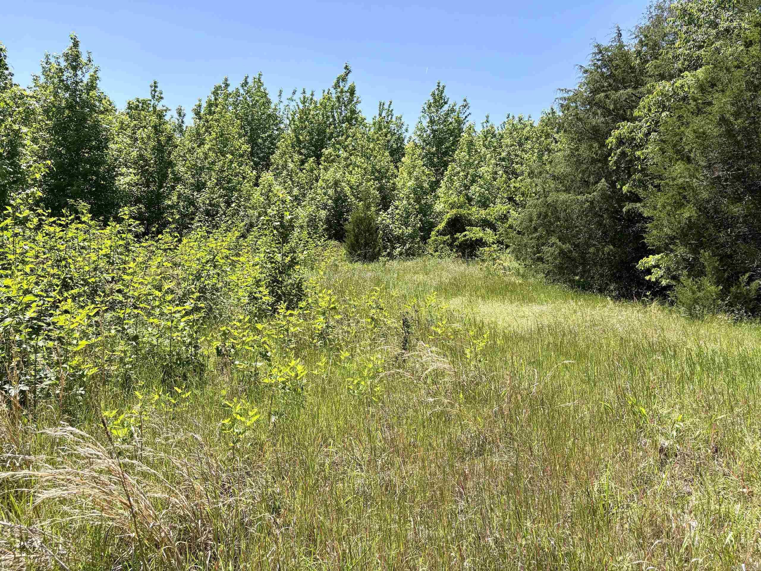 002 Burkett Flat Road Property Photo 36